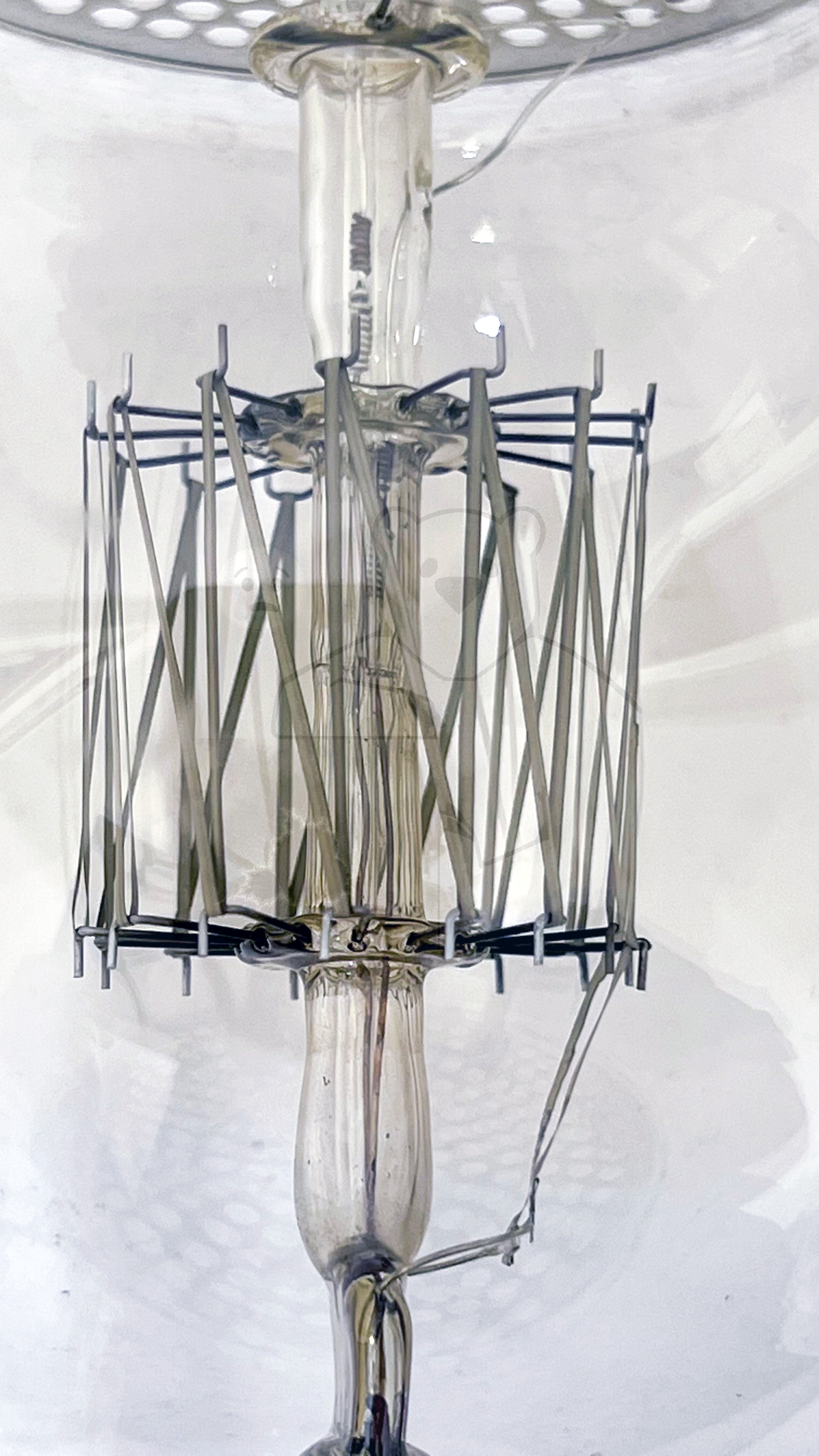 Liebenröhre, Seriennummer 'Ss990' Detailansicht - Bild 20