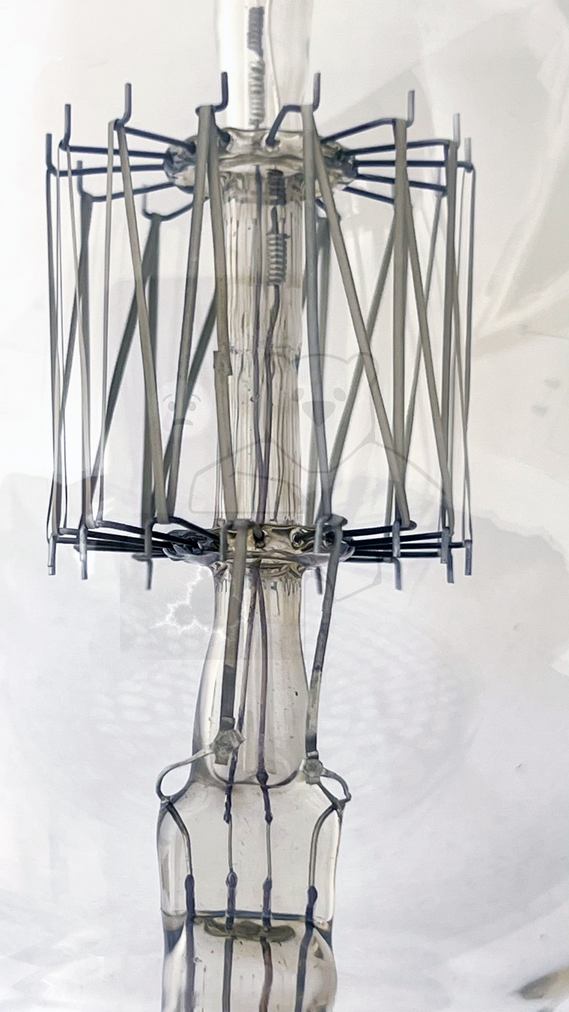 Liebenröhre, Seriennummer 'Ss990' Detailansicht - Bild 21