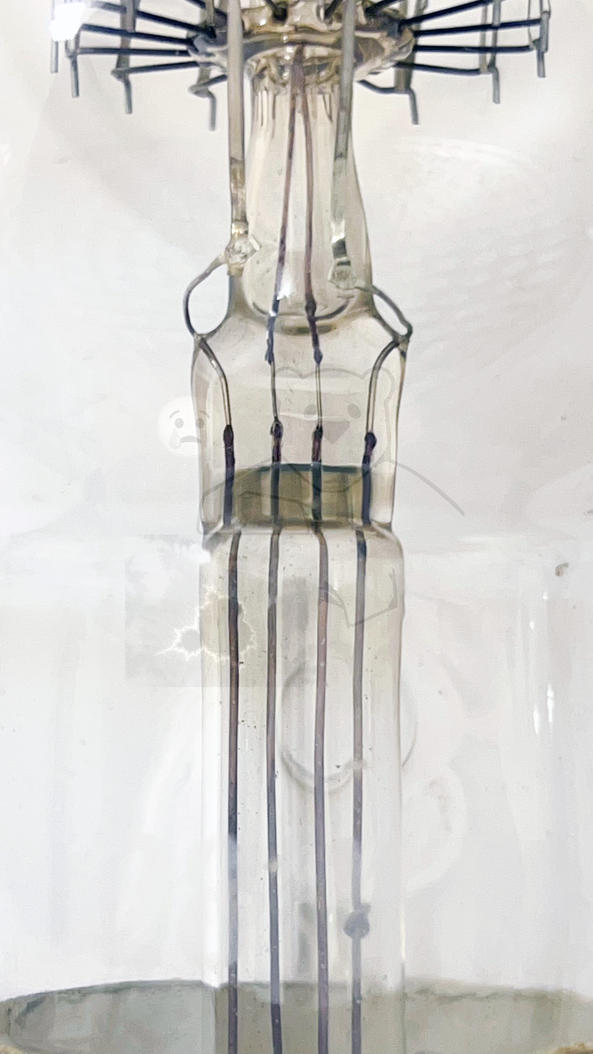 Liebenröhre, Seriennummer 'Ss990' Detailansicht - Bild 26