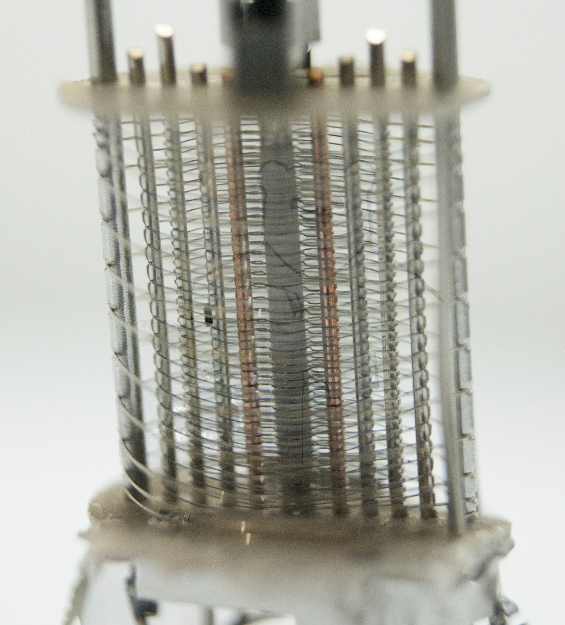 Makroaufnahme ECH81 Bild 08 - Detailaufnahme Heptodensystem ohne Anoden