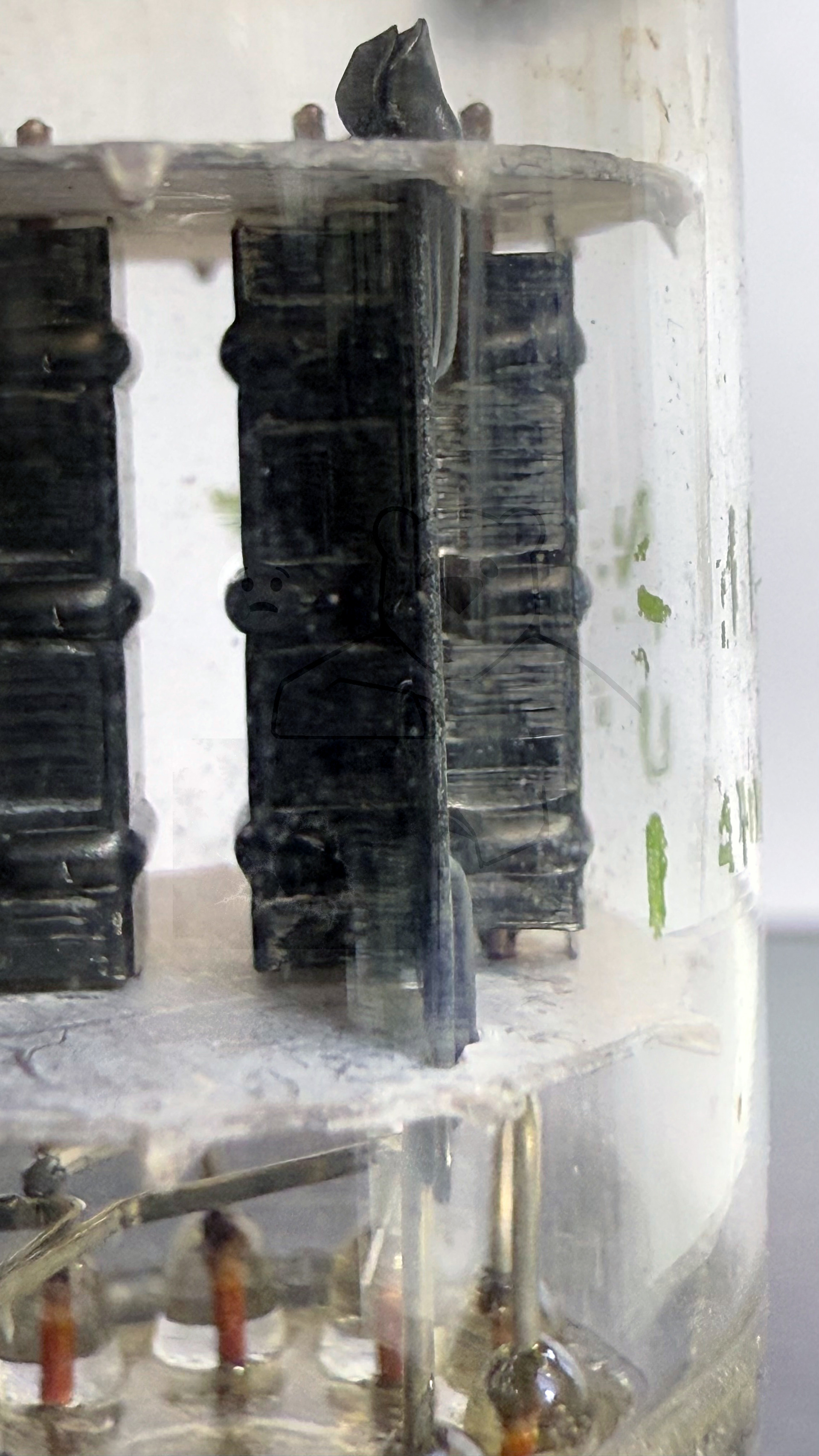 Röhre 12AU7A #7914 Bild 7