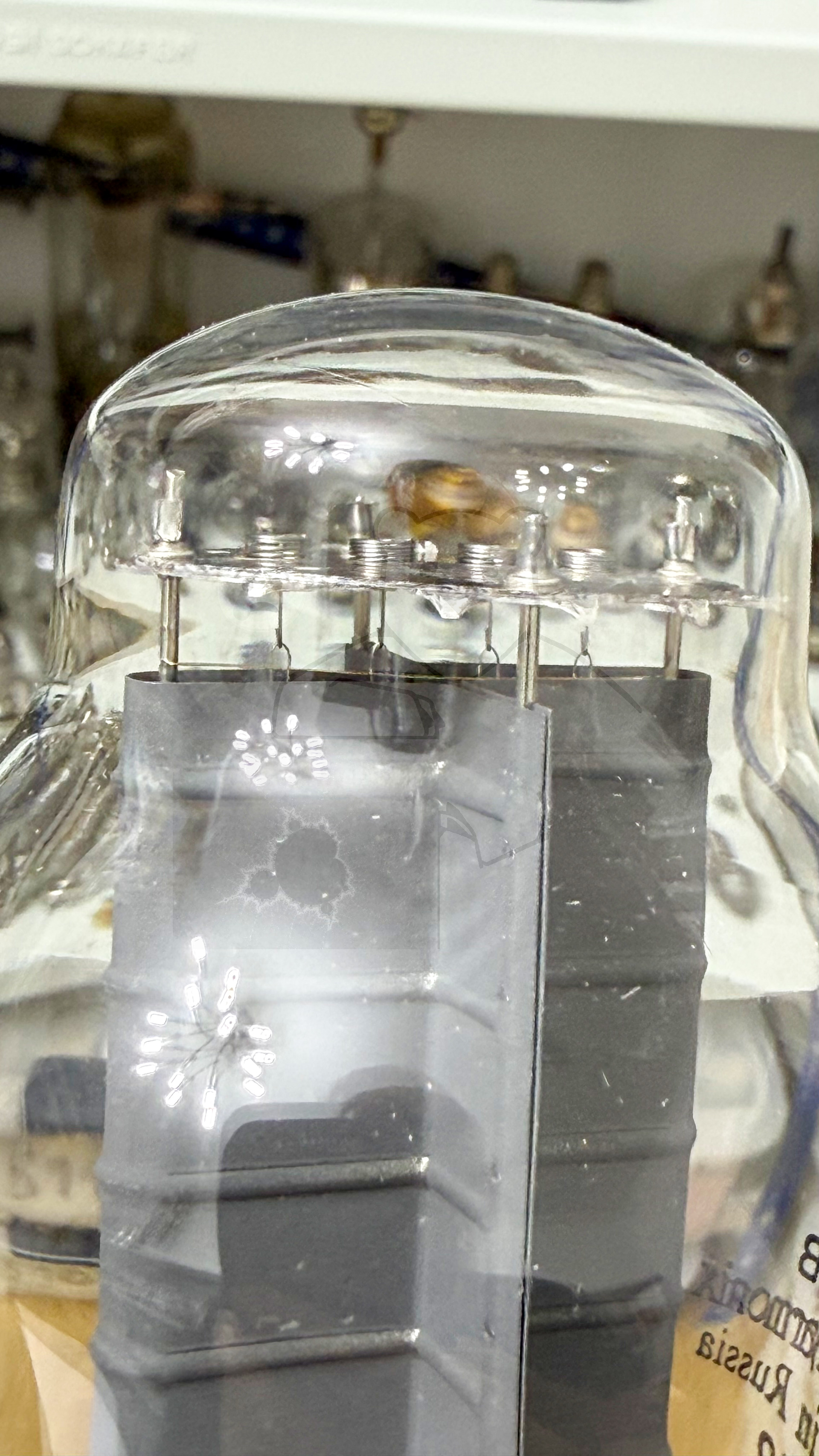 Röhre 300B #4807 Bild 7