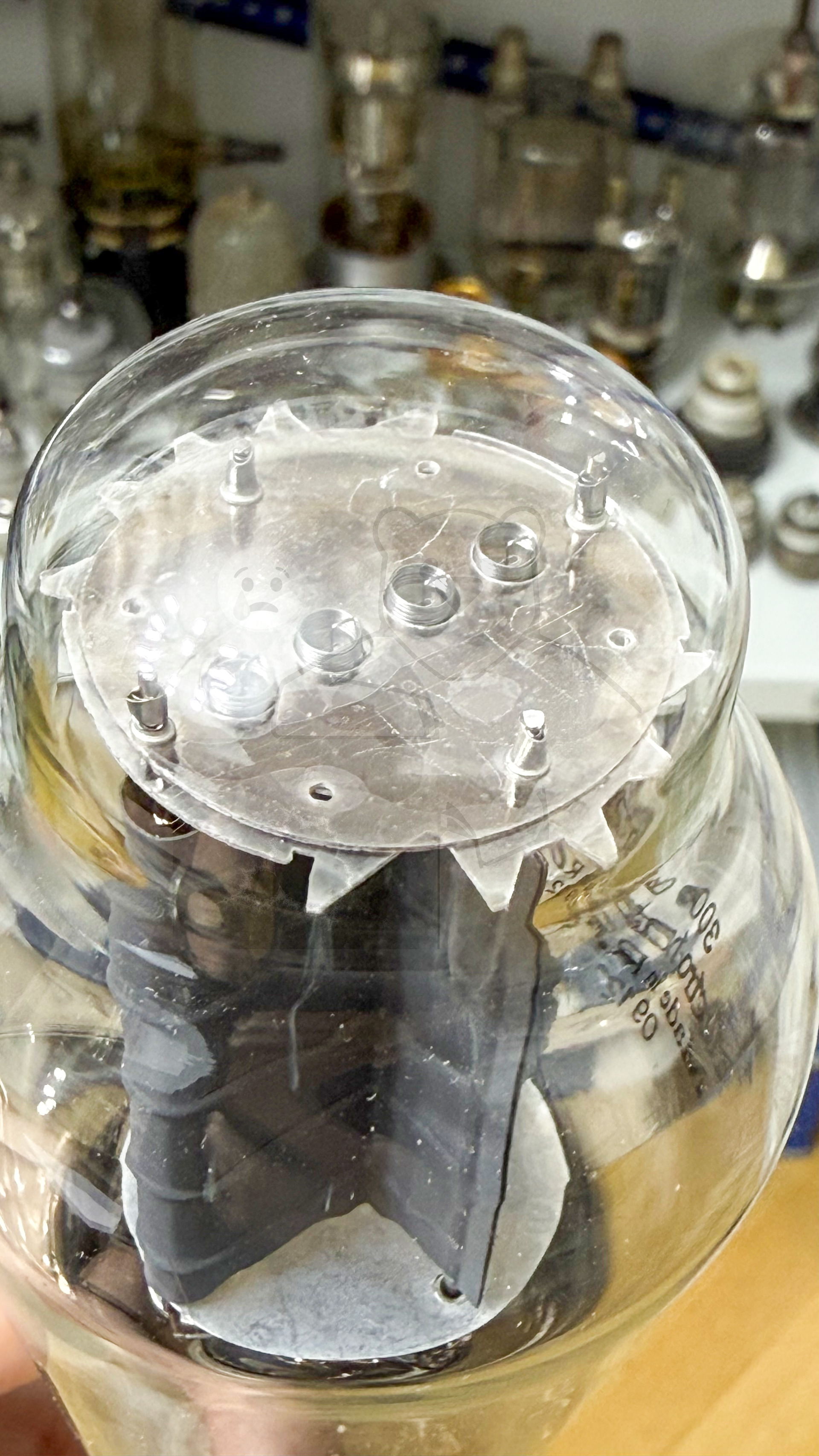 Röhre 300B #4807 Bild 8