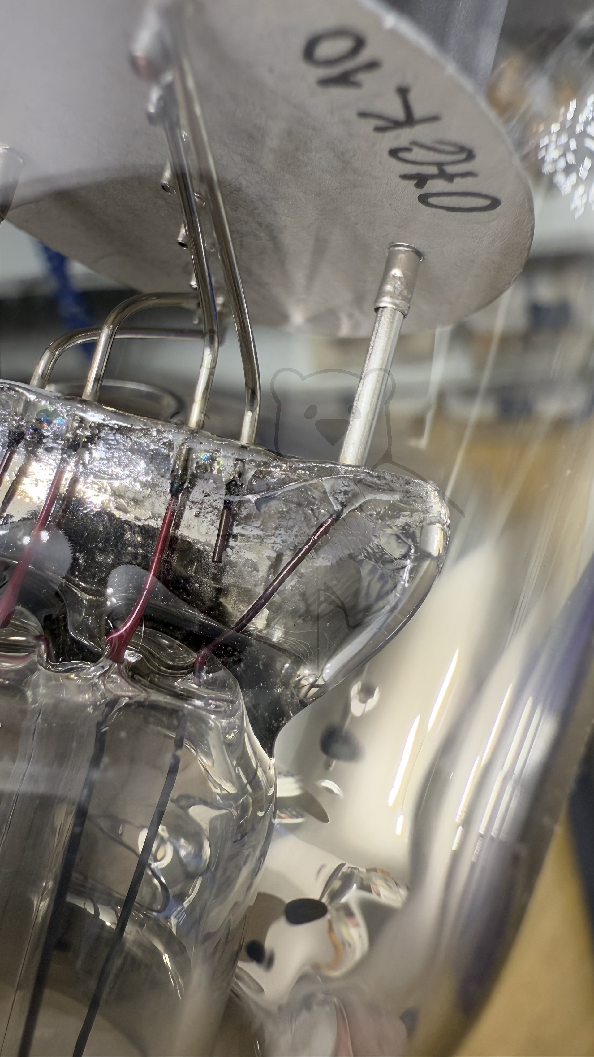 Röhre 300B #7238 Bild 22