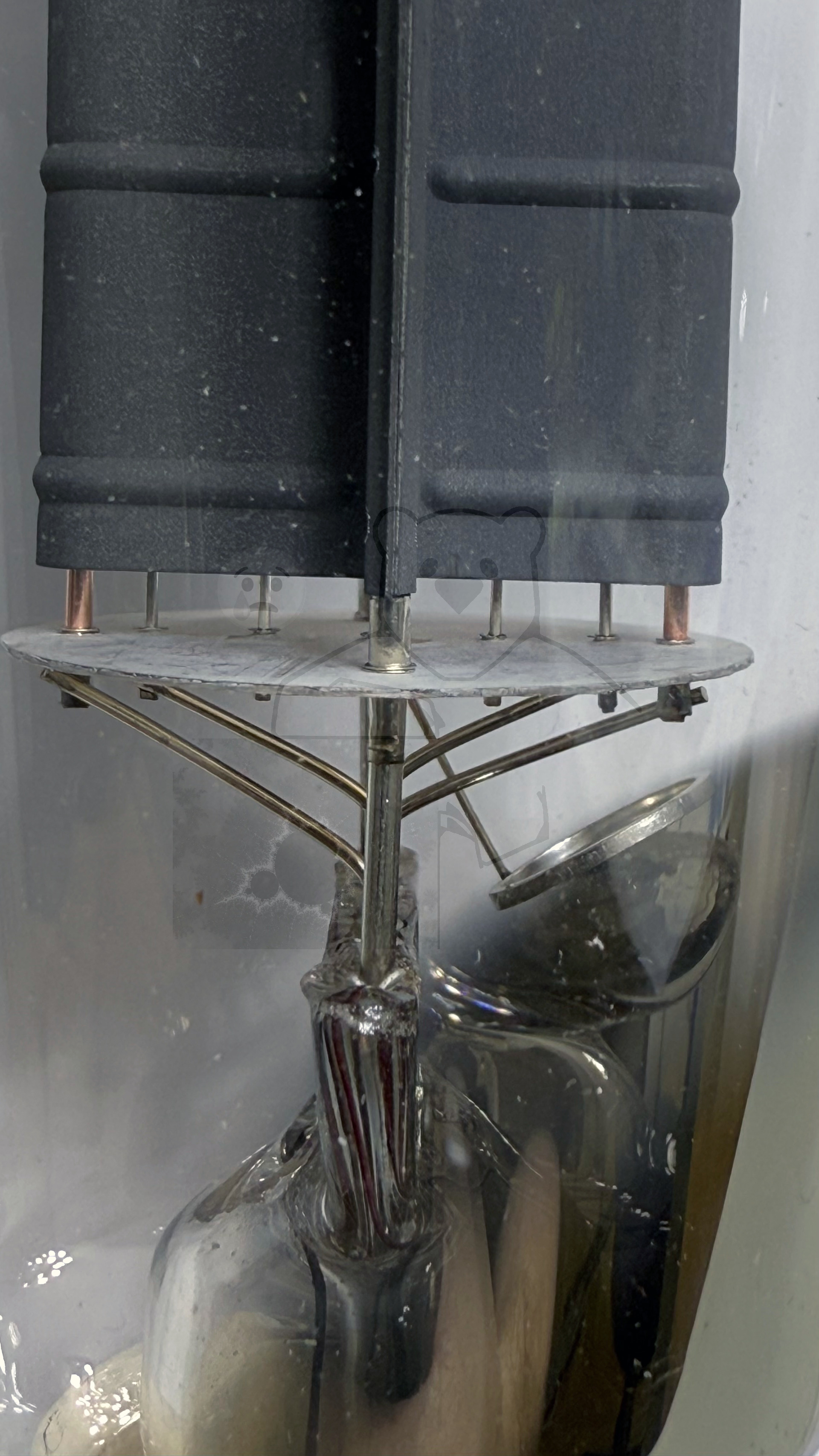 Röhre 300B #7238 Bild 5