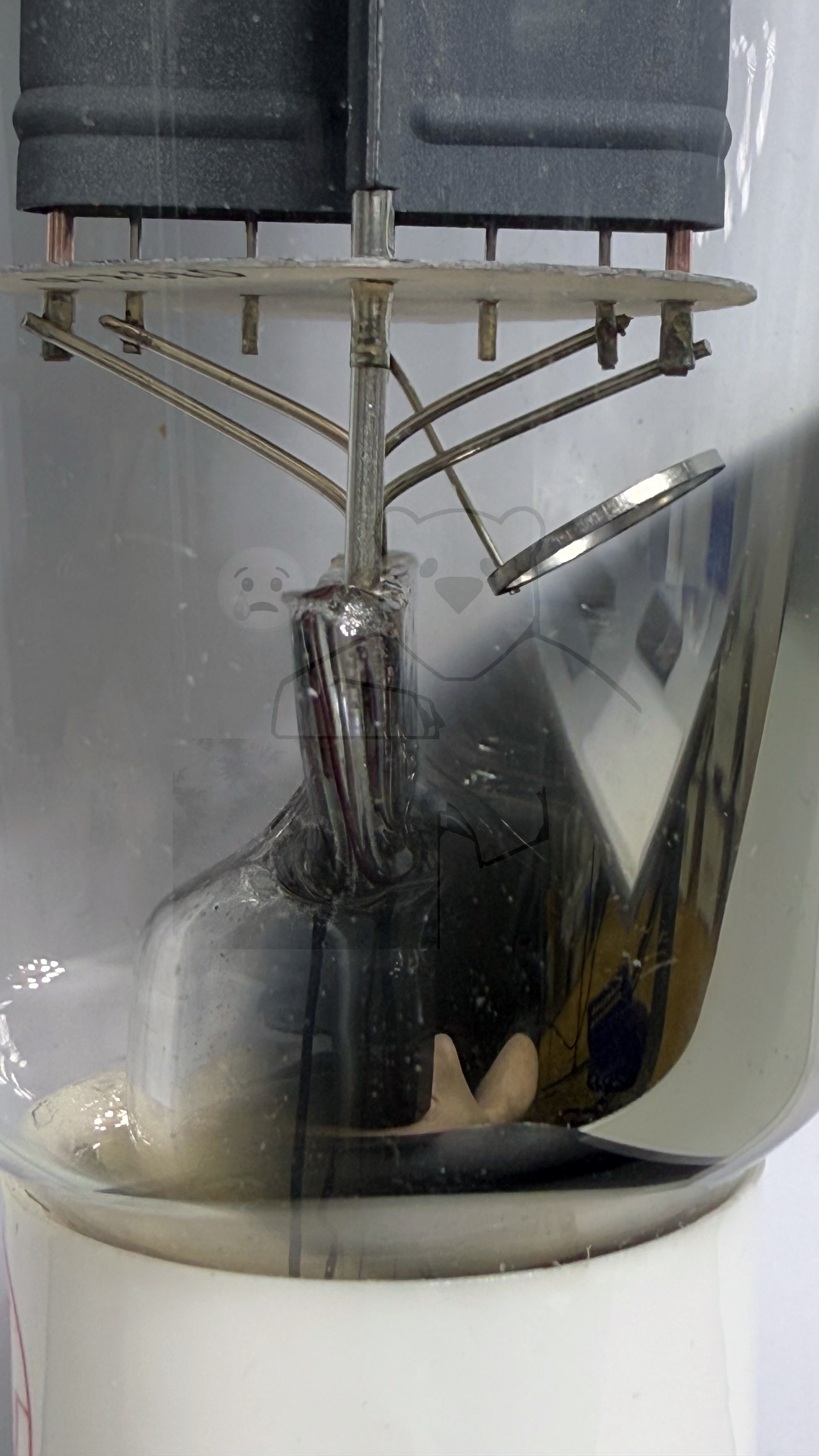 Röhre 300B #7238 Bild 6