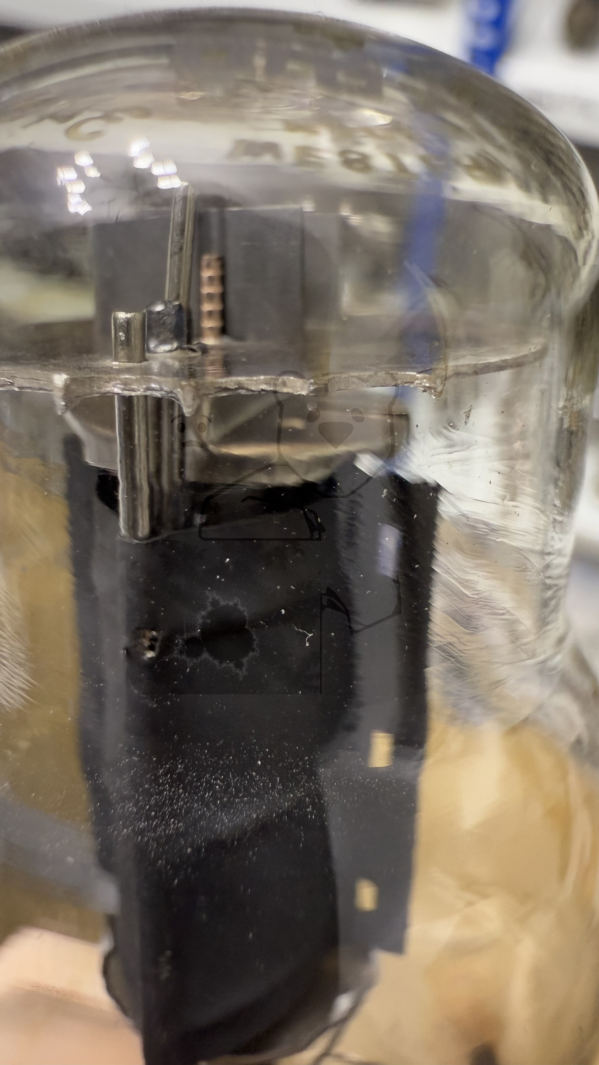 Röhre 349A #3836 Bild 11