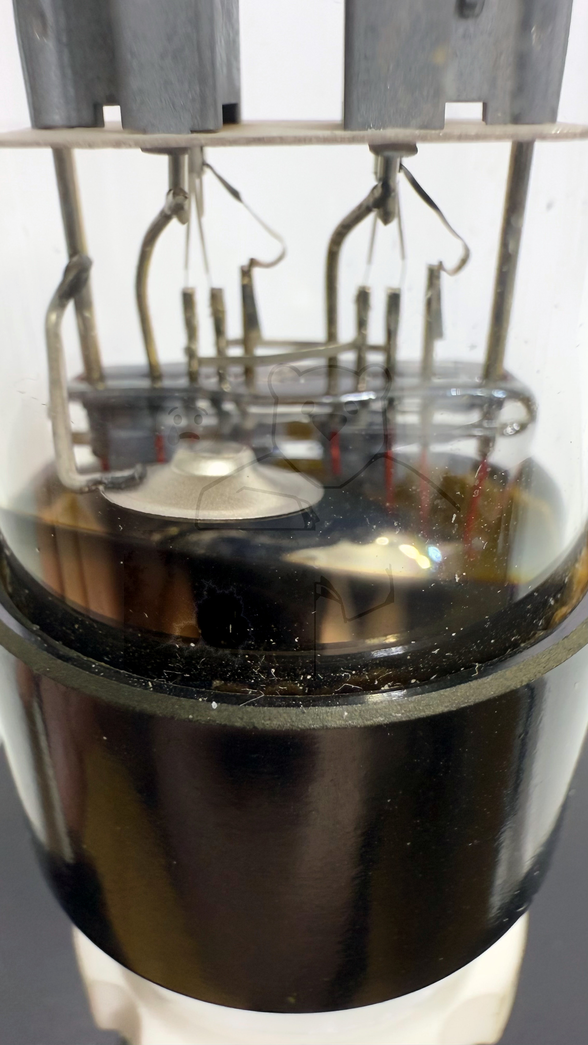 Röhre 6Н8С #8031 Bild 5