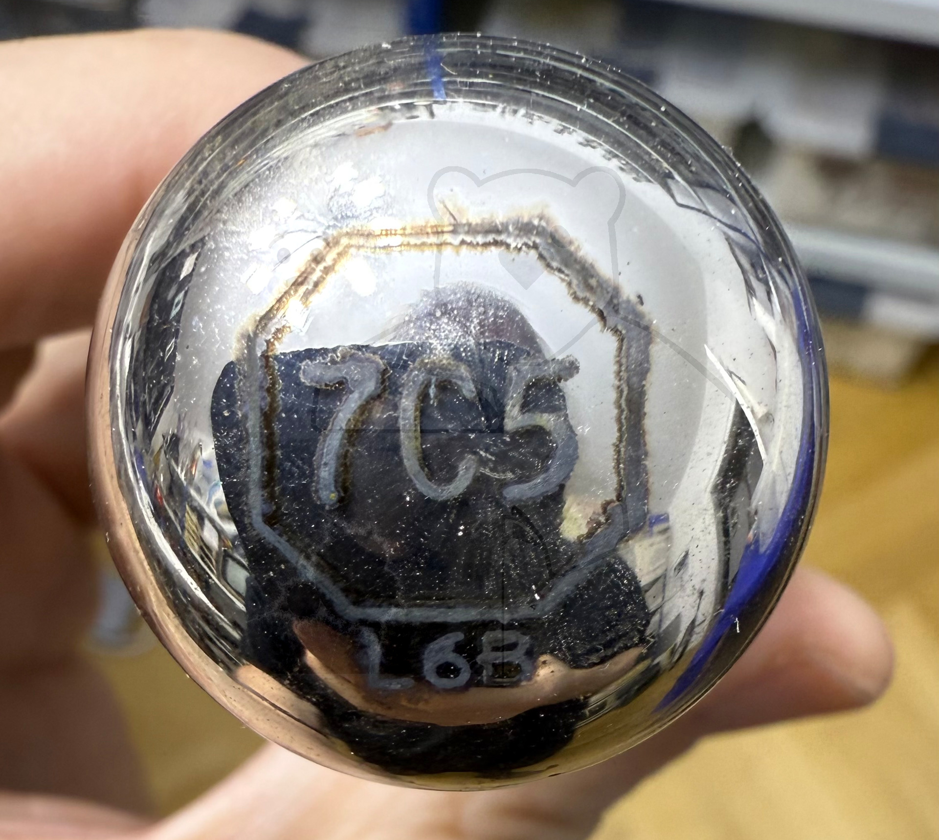 Röhre 7C5 #4841 Bild 4