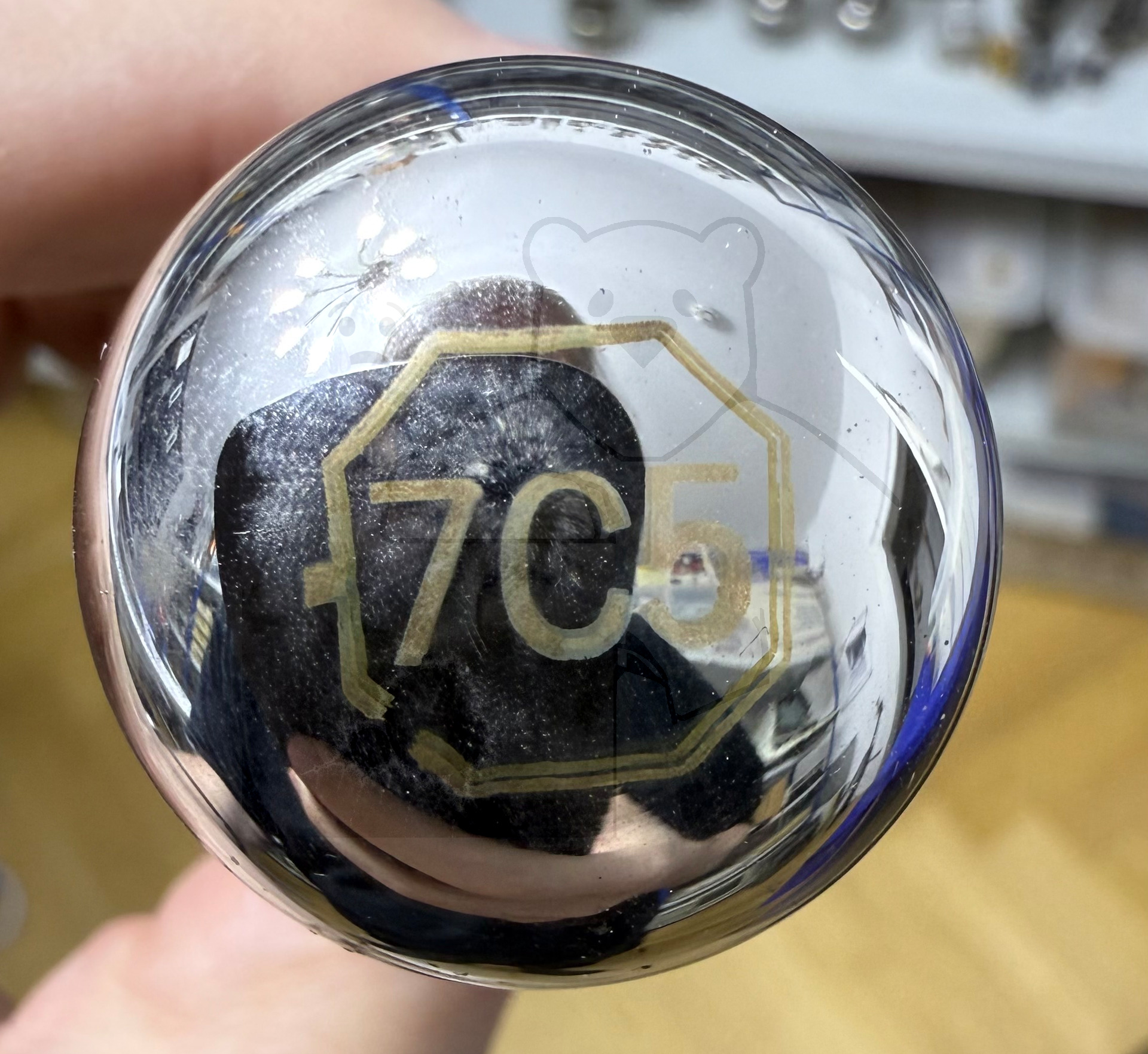 Röhre 7C5 #4844 Bild 3