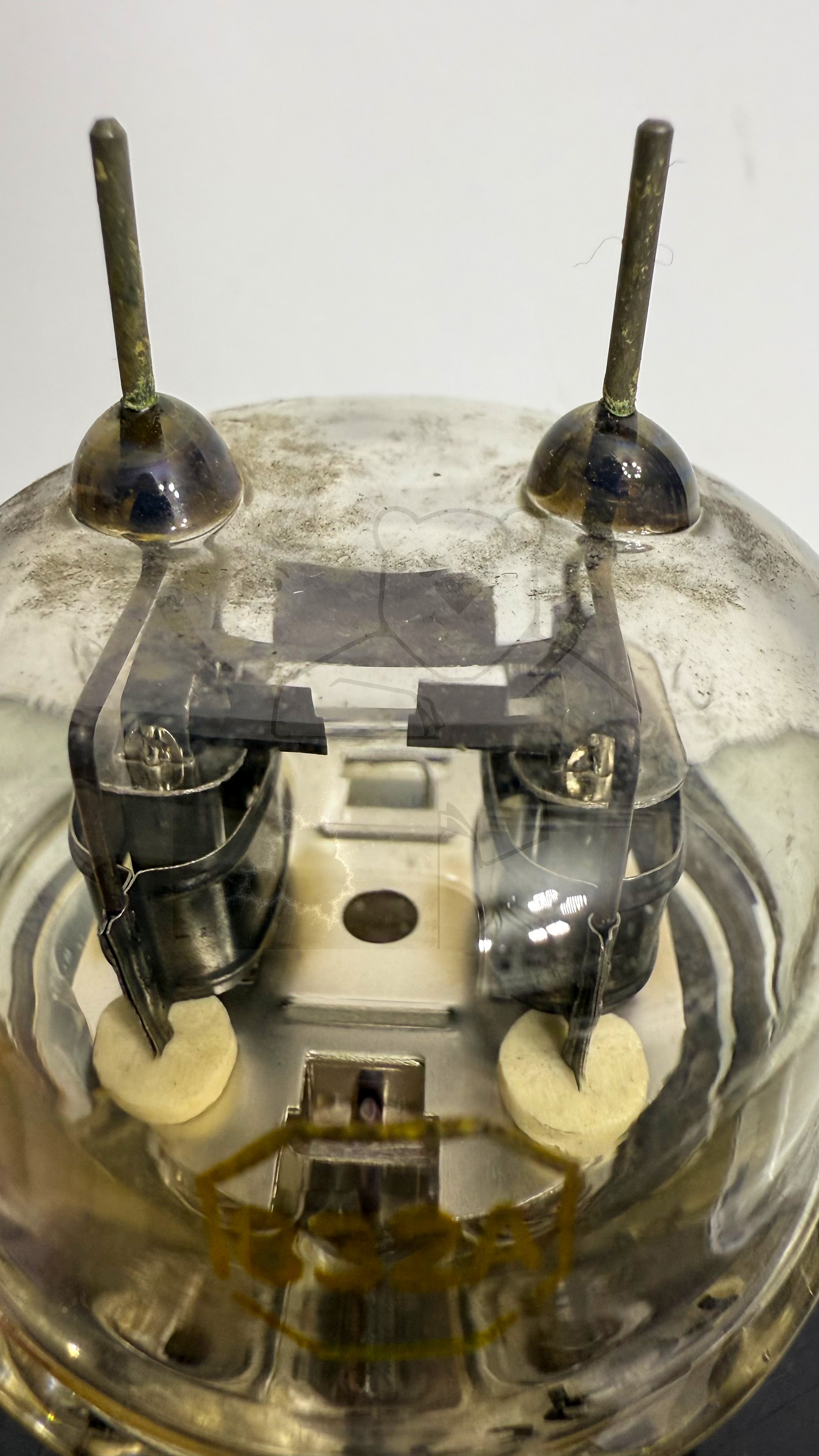 Röhre 832A #3451 Bild 4