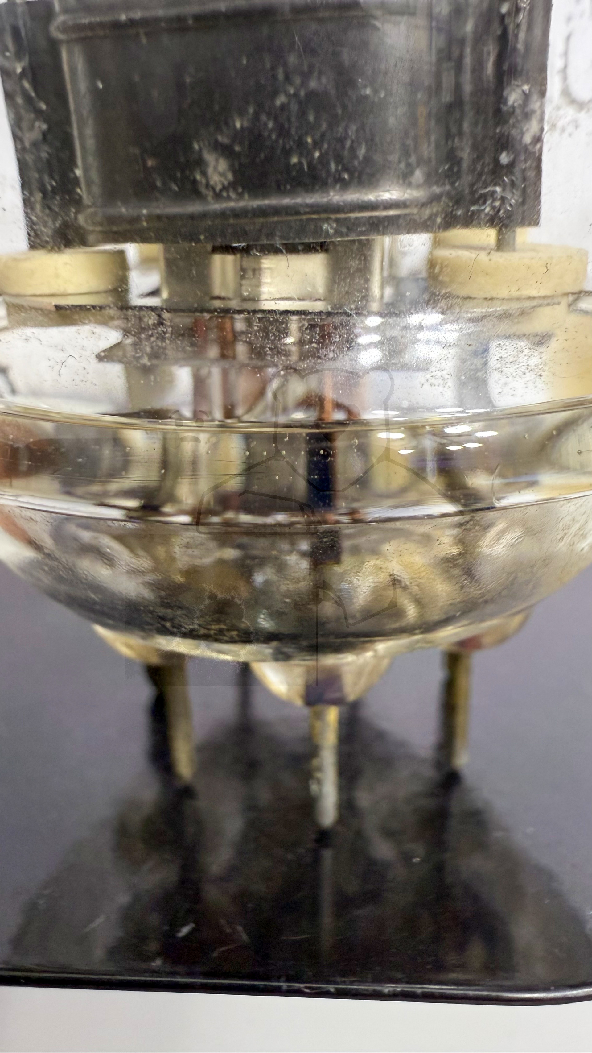 Röhre 832A #3451 Bild 9