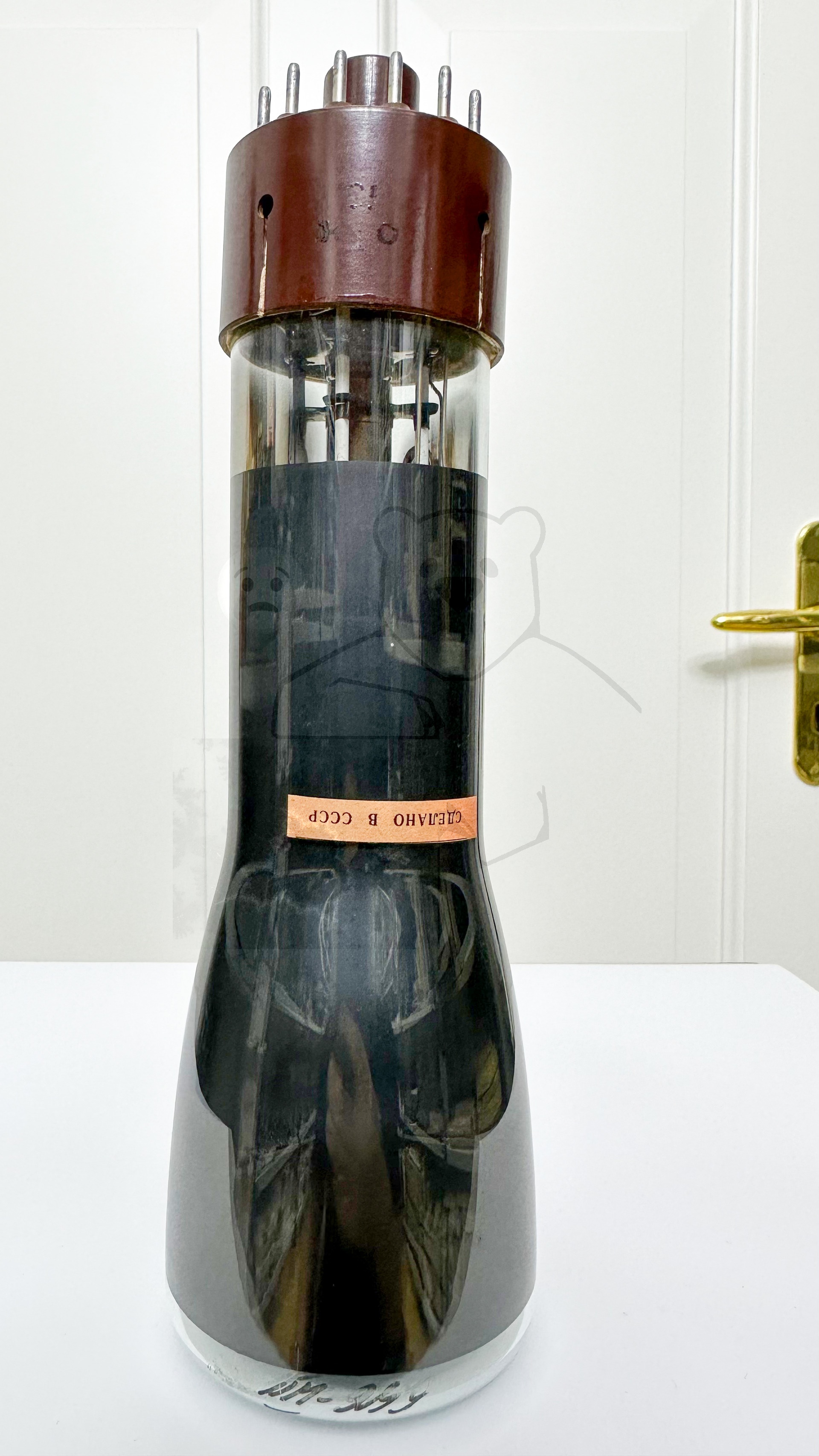 Röhre 8ЛО29И #3438 Bild 1