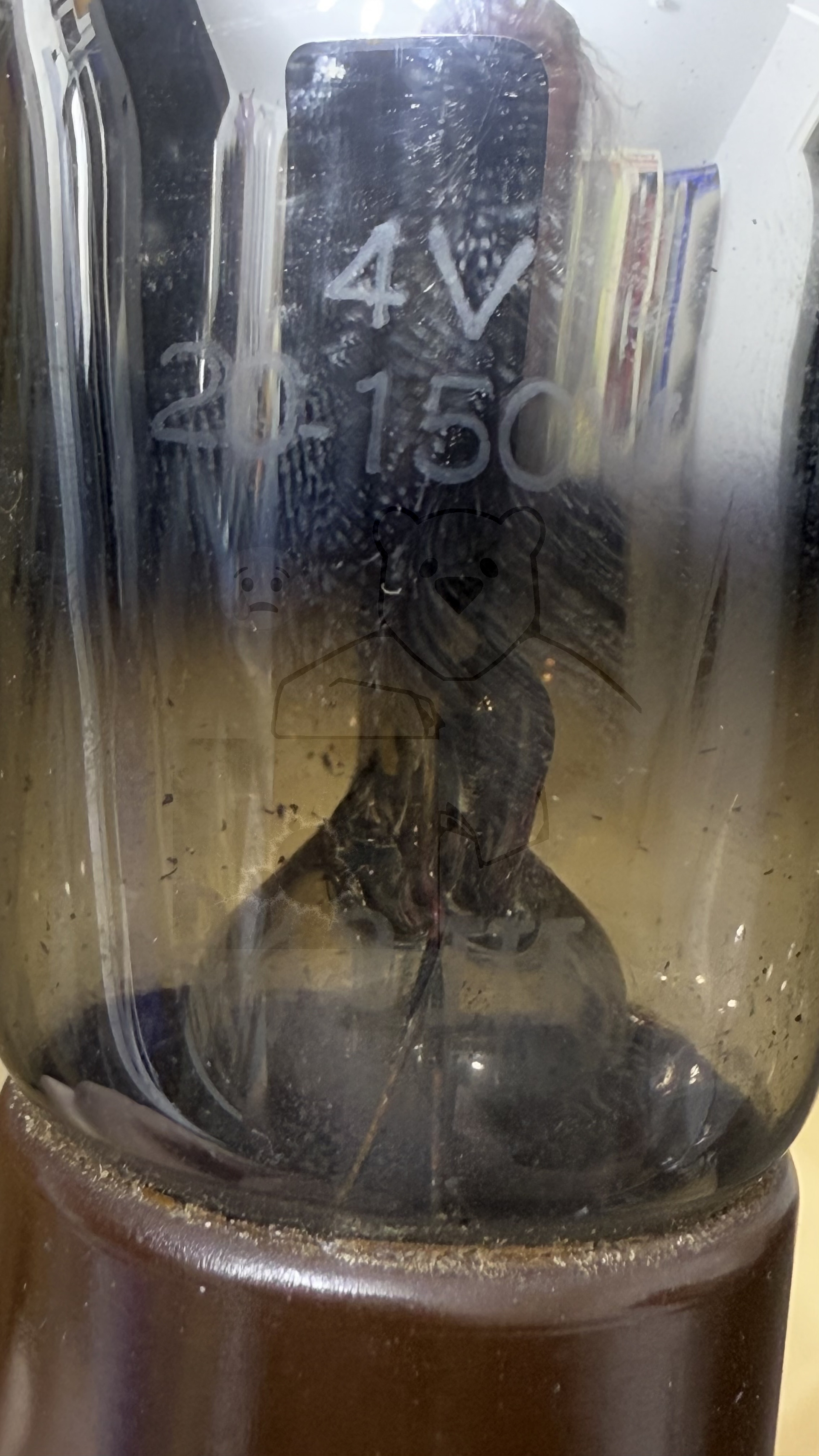 Röhre A409 #7654 Bild 5