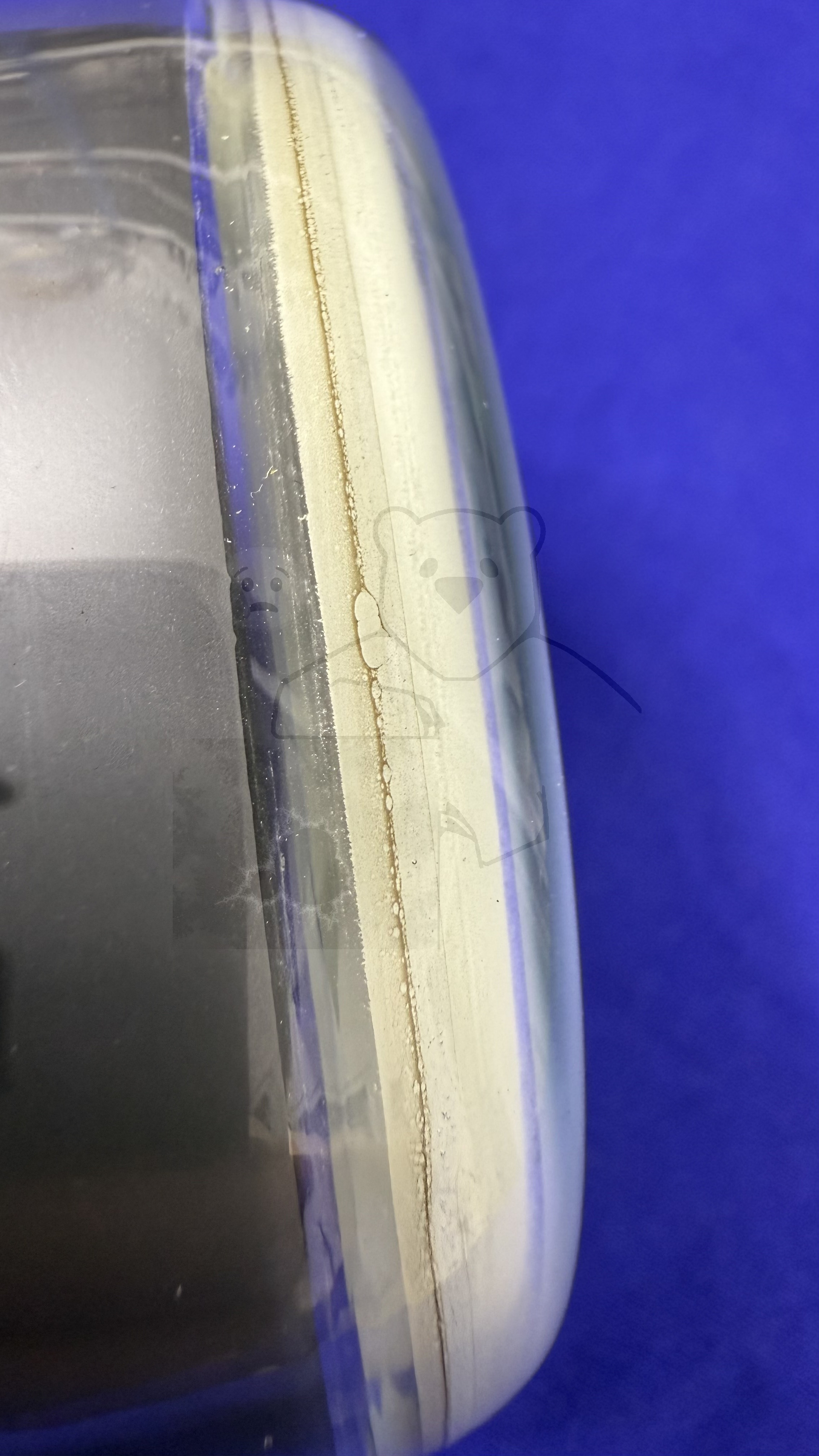 Röhre B7S2 #3433 Bild 16