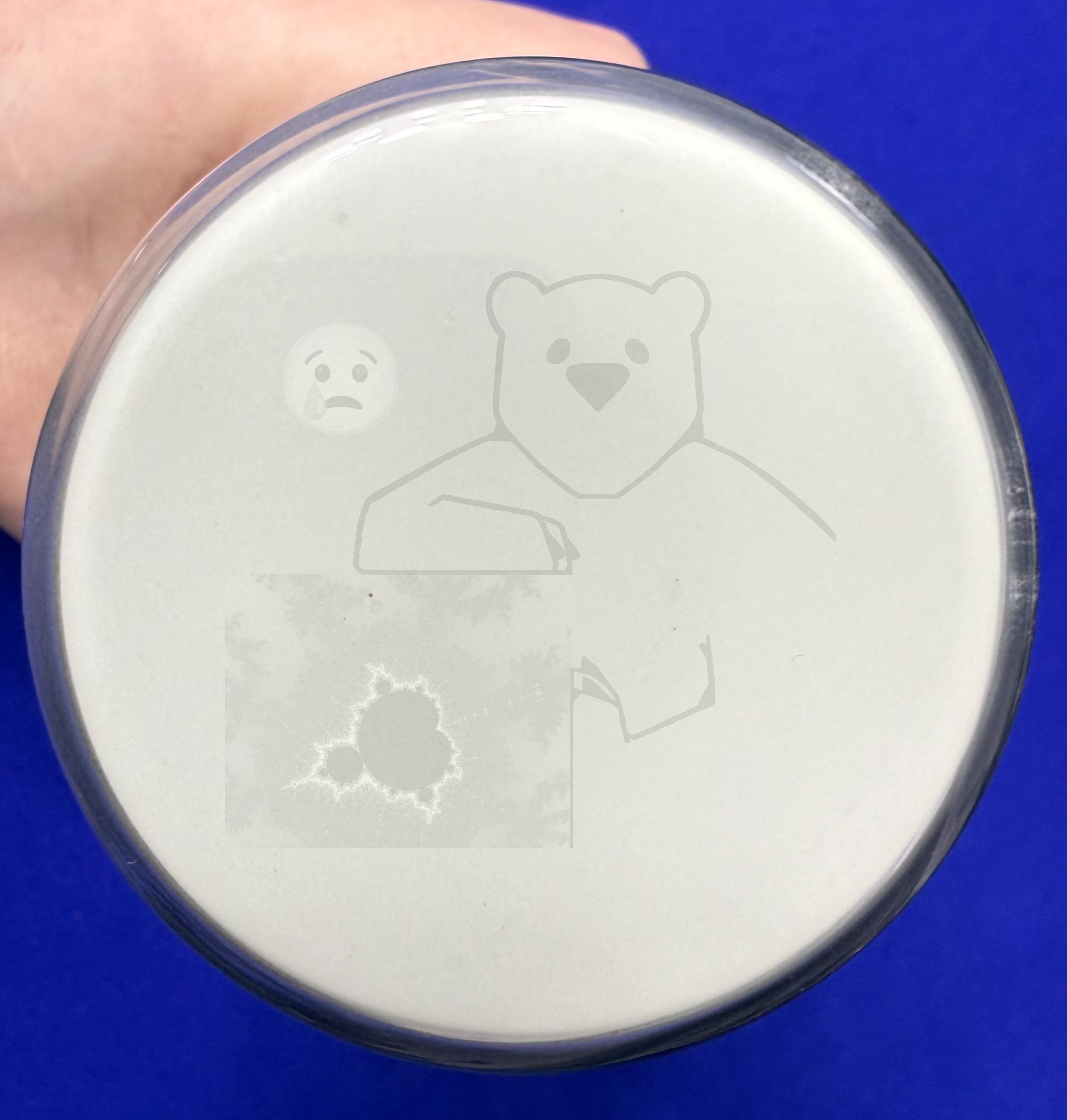 Röhre B7S2 #3434 Bild 21