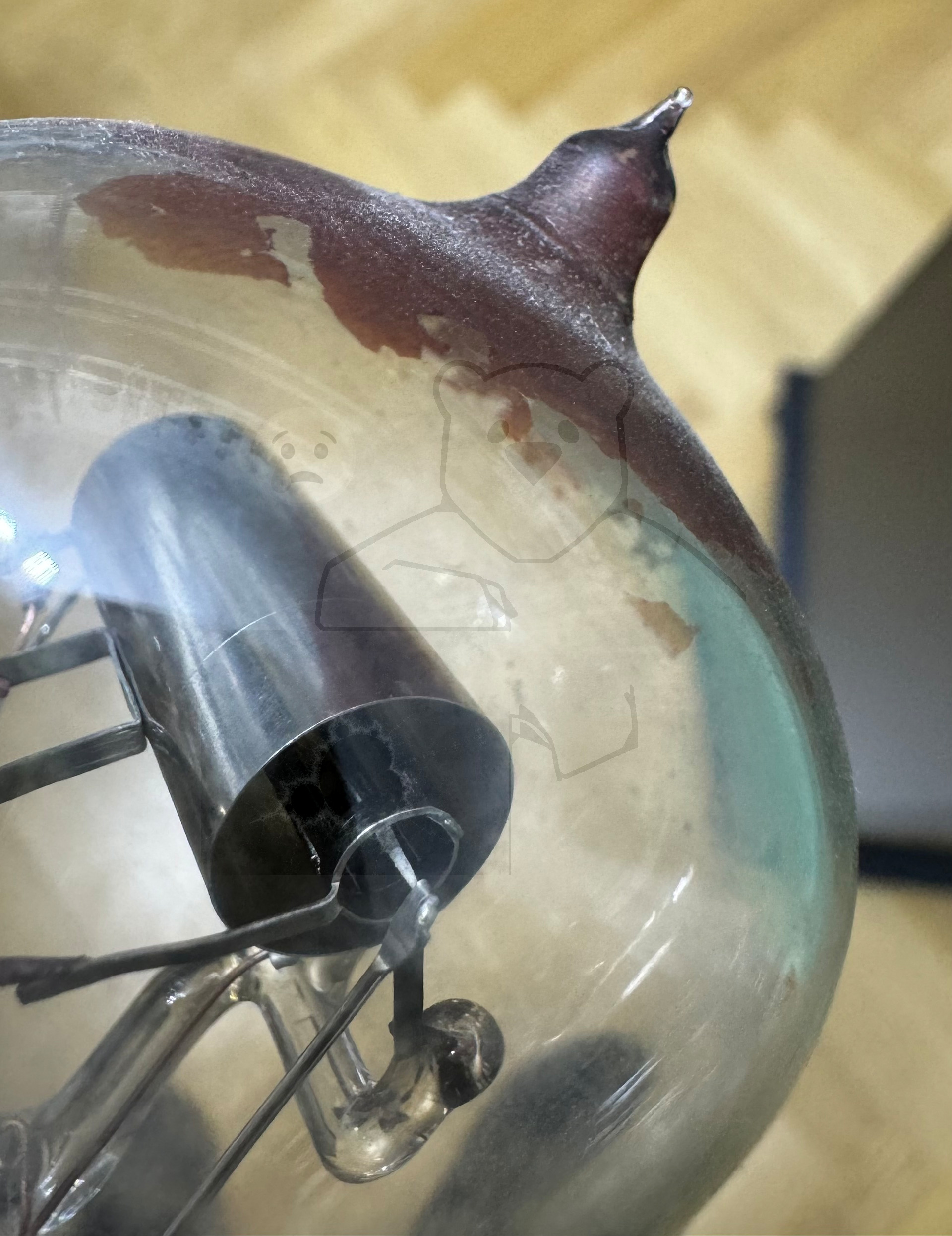 Röhre BO #6896 Bild 15