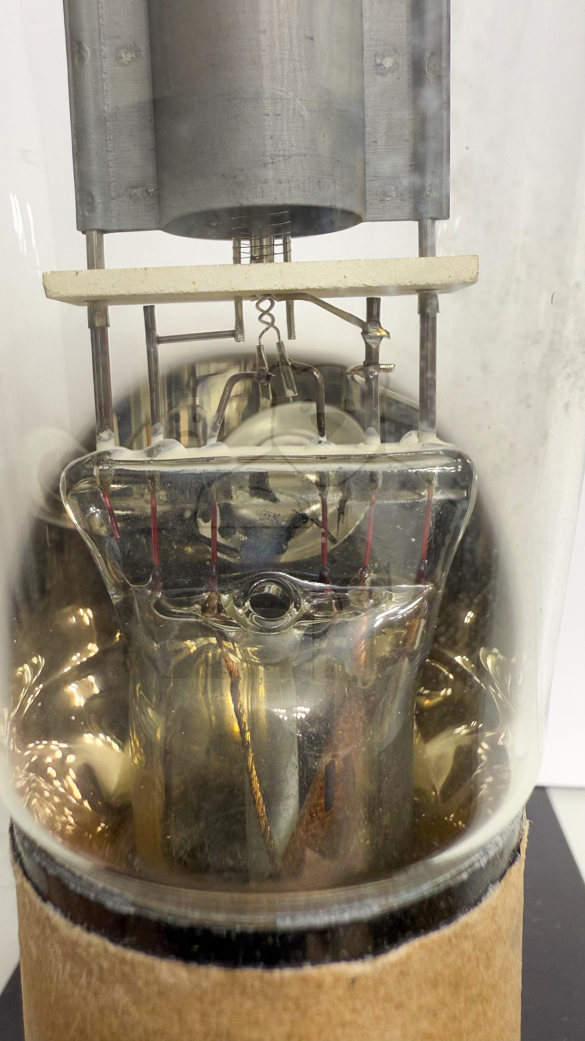 Röhre Bi #3769 Bild 3