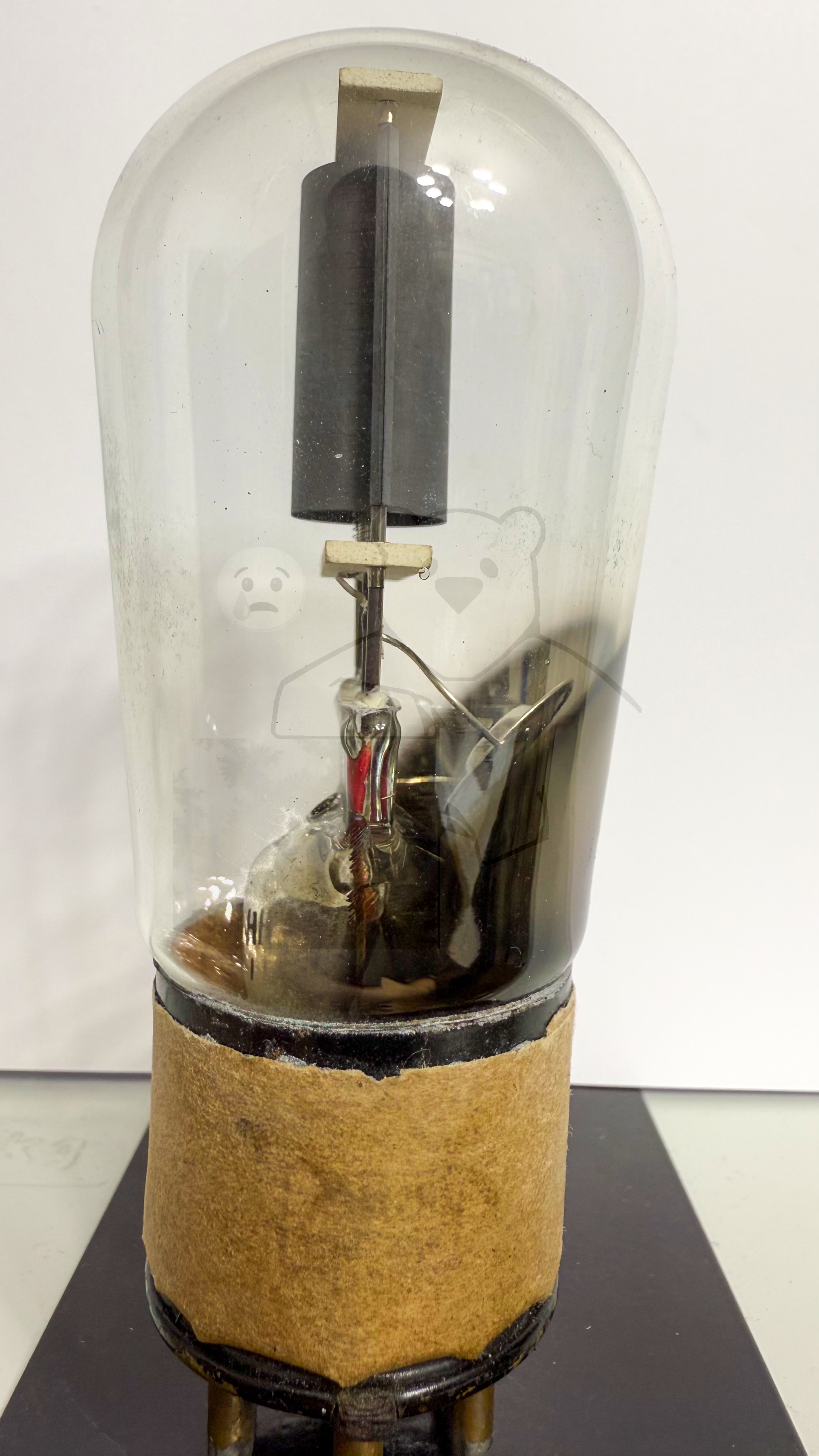 Röhre Bi #3769 Bild 4