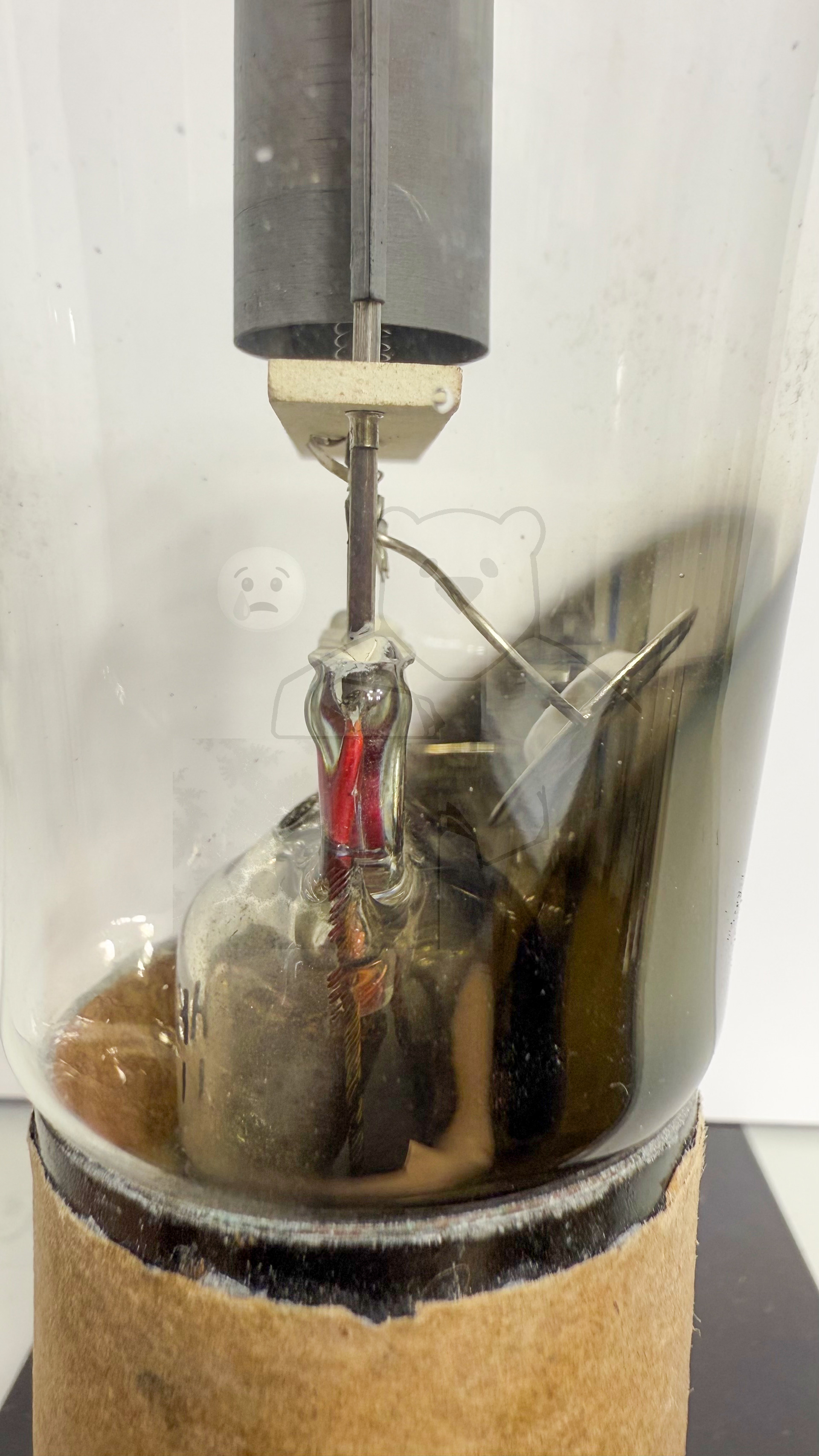 Röhre Bi #3769 Bild 5