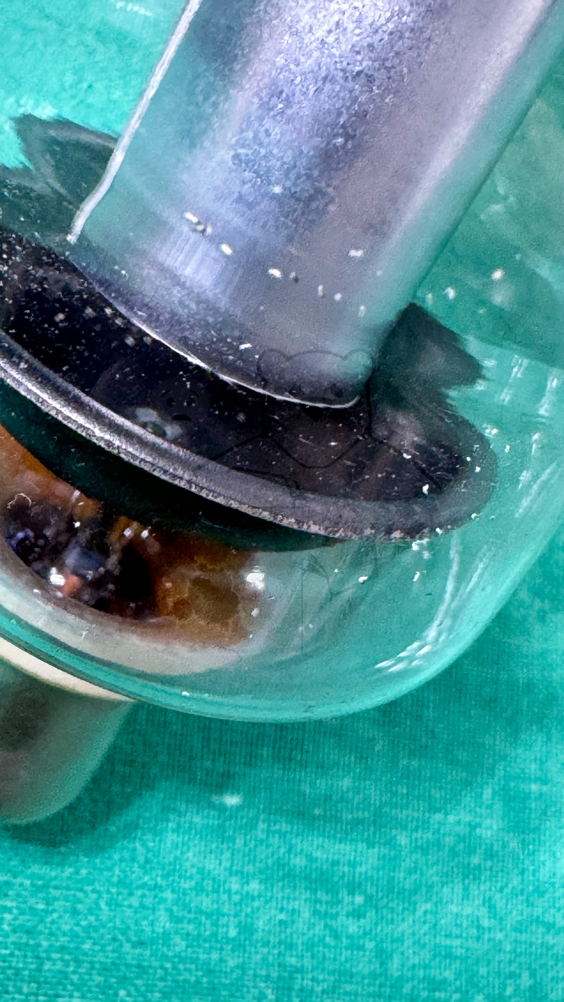 Röhre DQ2a #3834 Bild 12