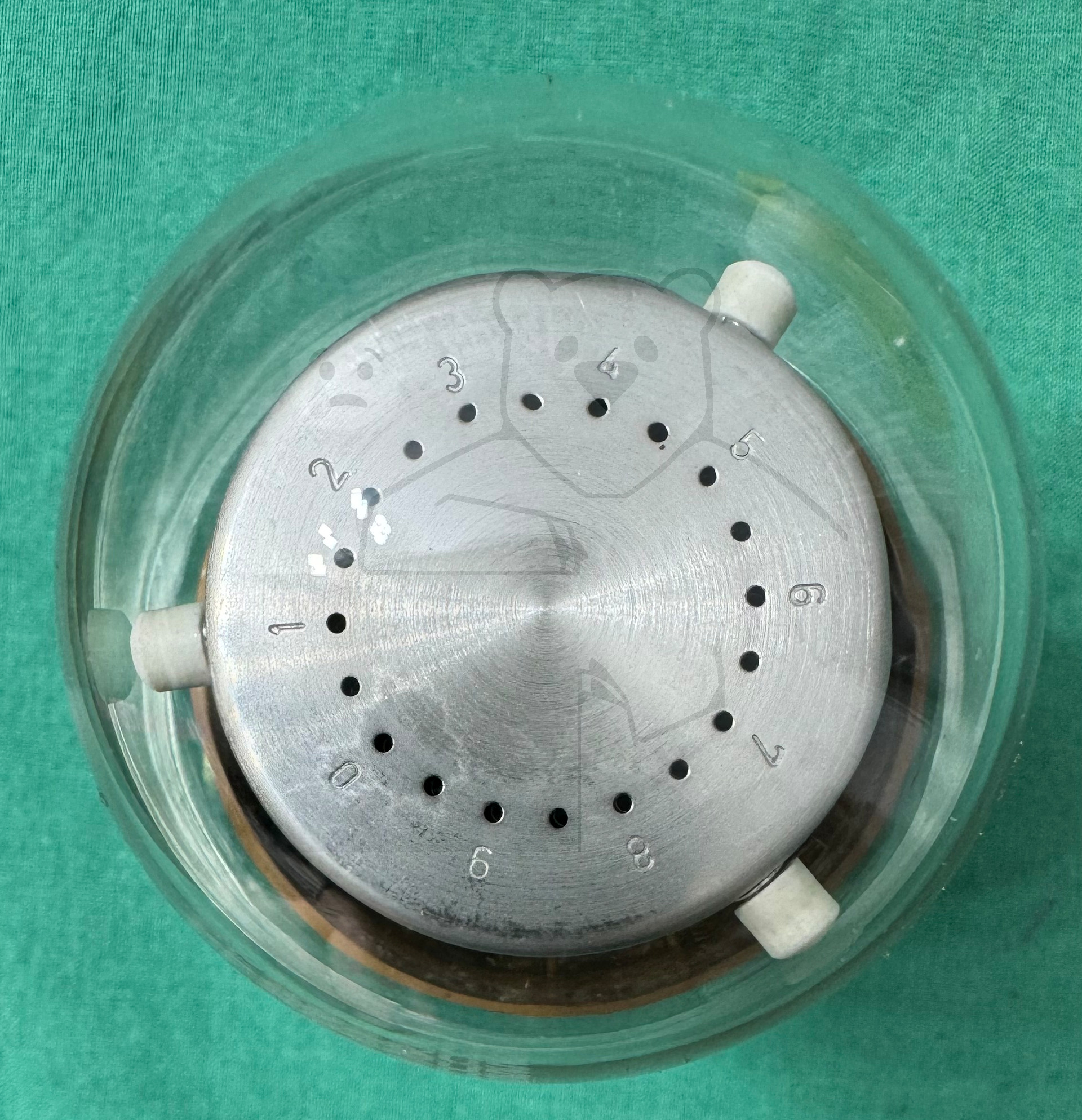 Röhre DZ10 #6848 Nomotron Bild 7