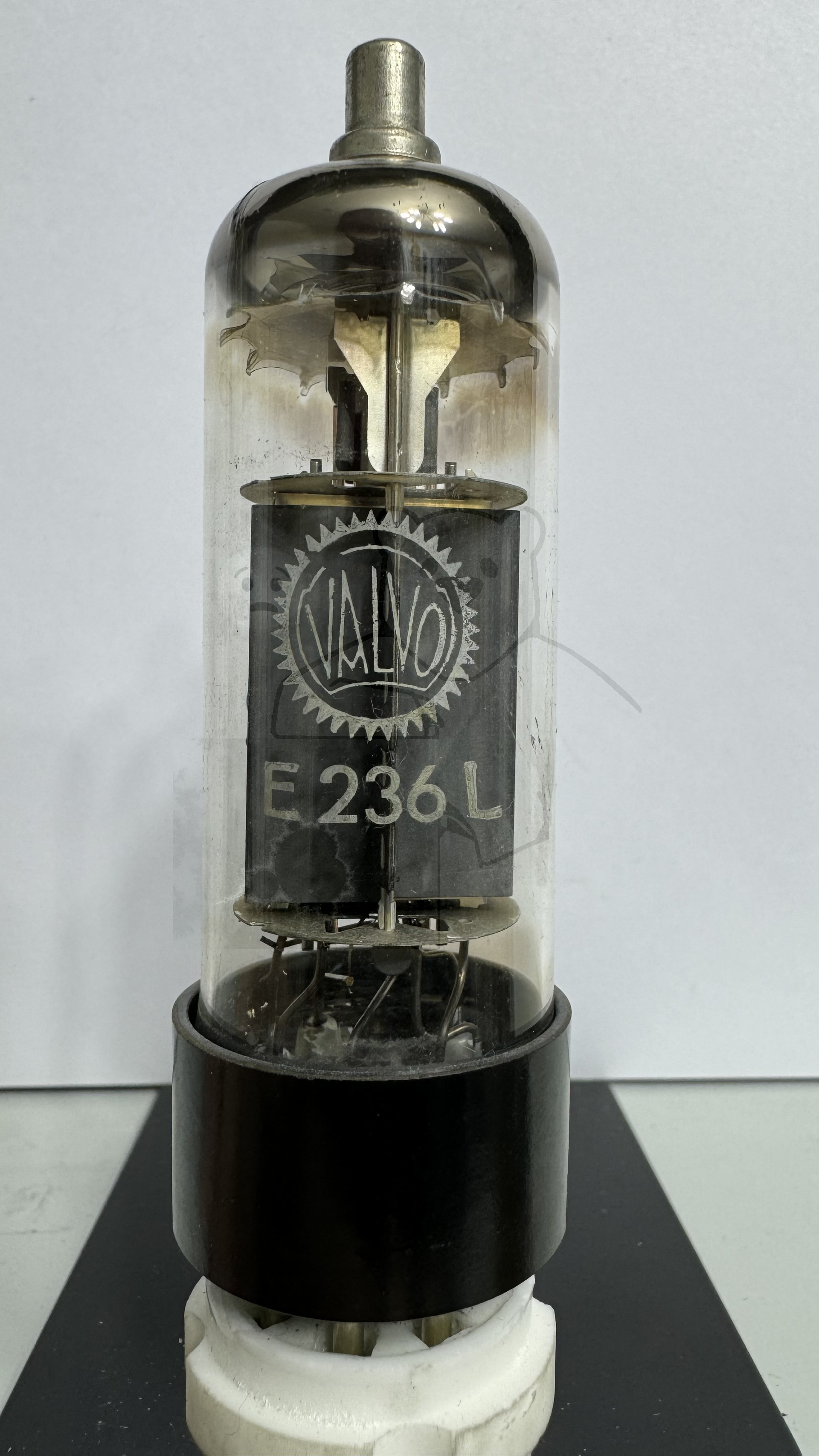 Röhre E236L #3129 Bild 1