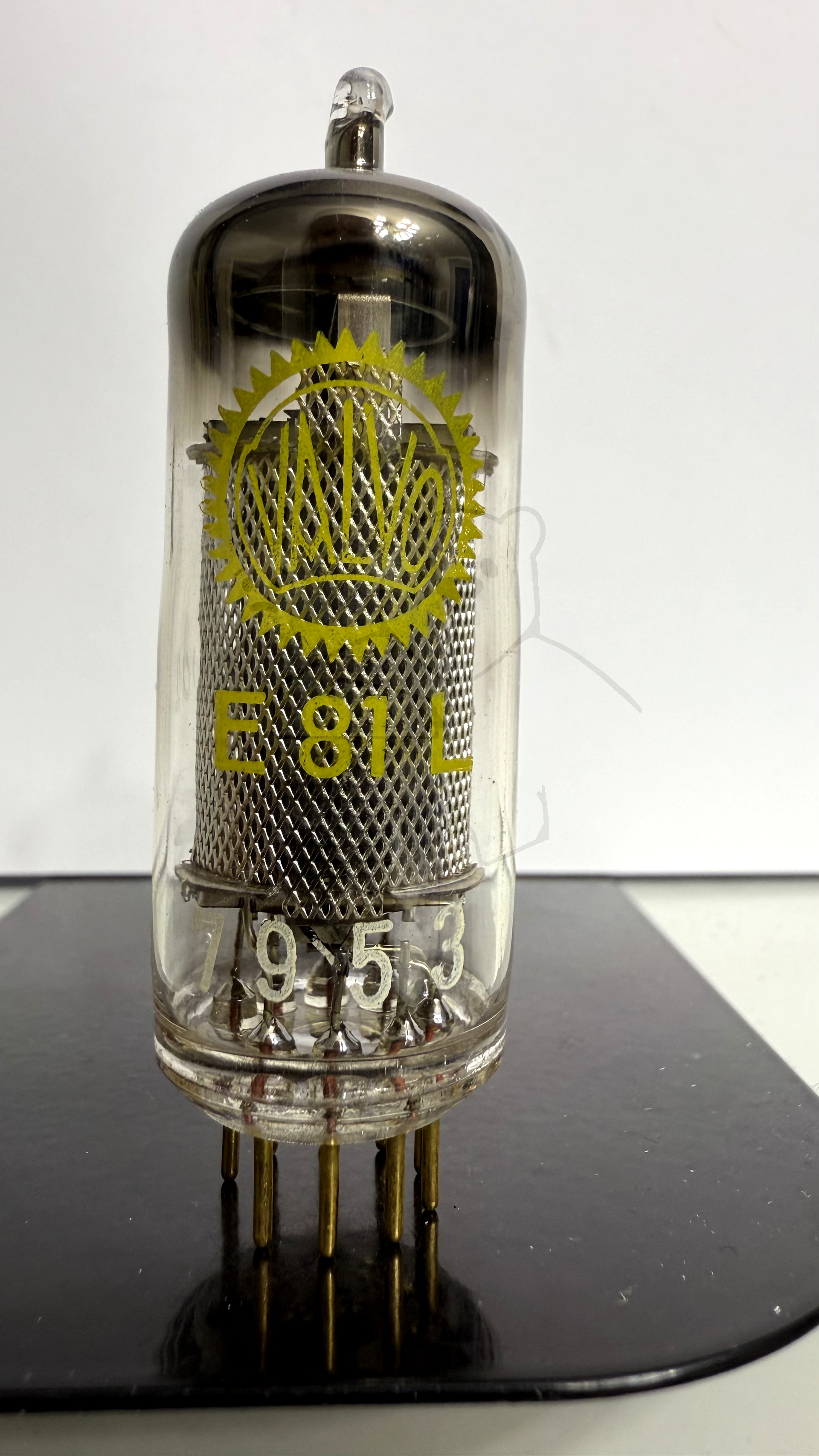 Röhre E81L #1002 Bild 1