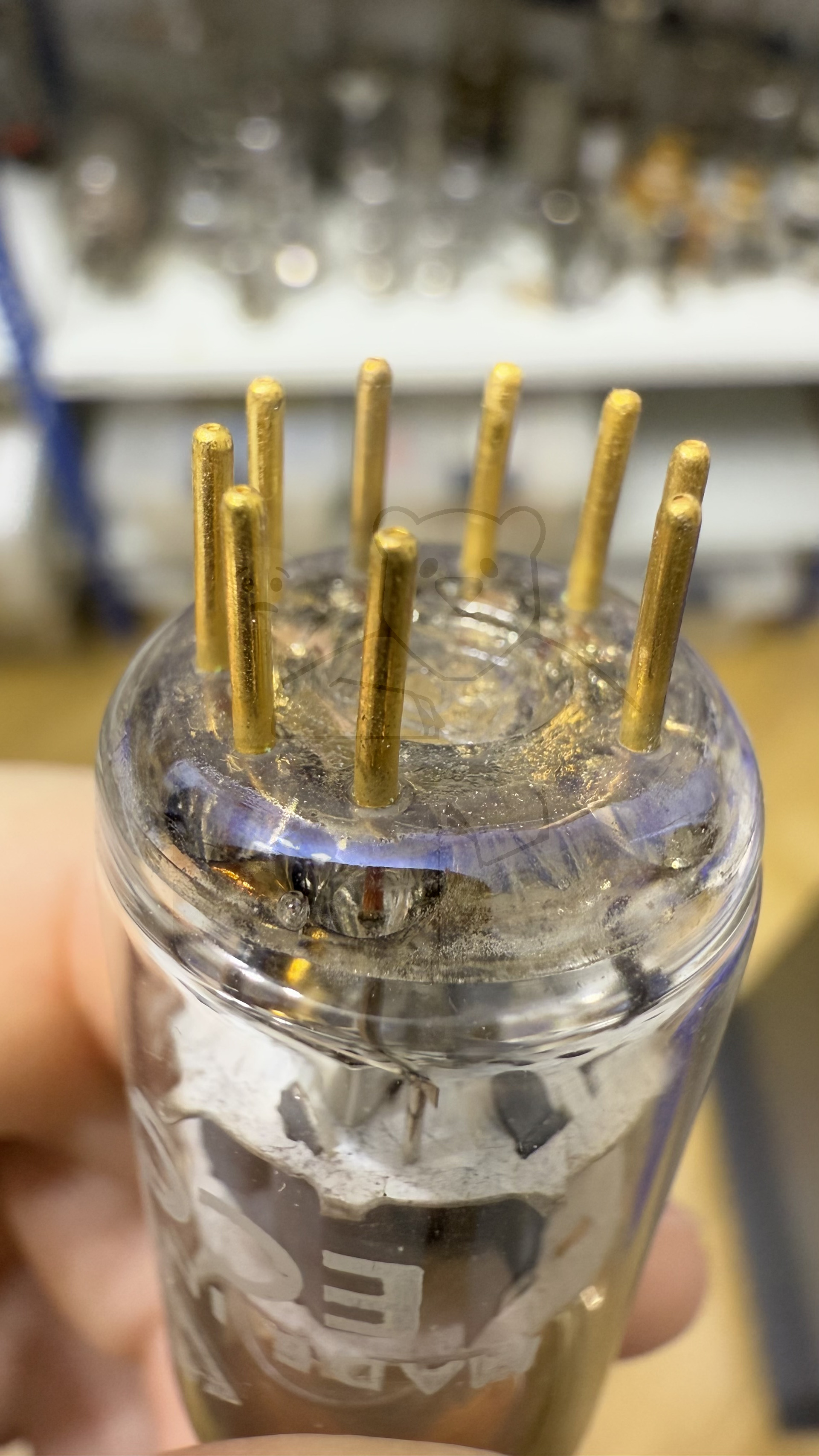 Röhre ECC8100 #7510 Bild 11