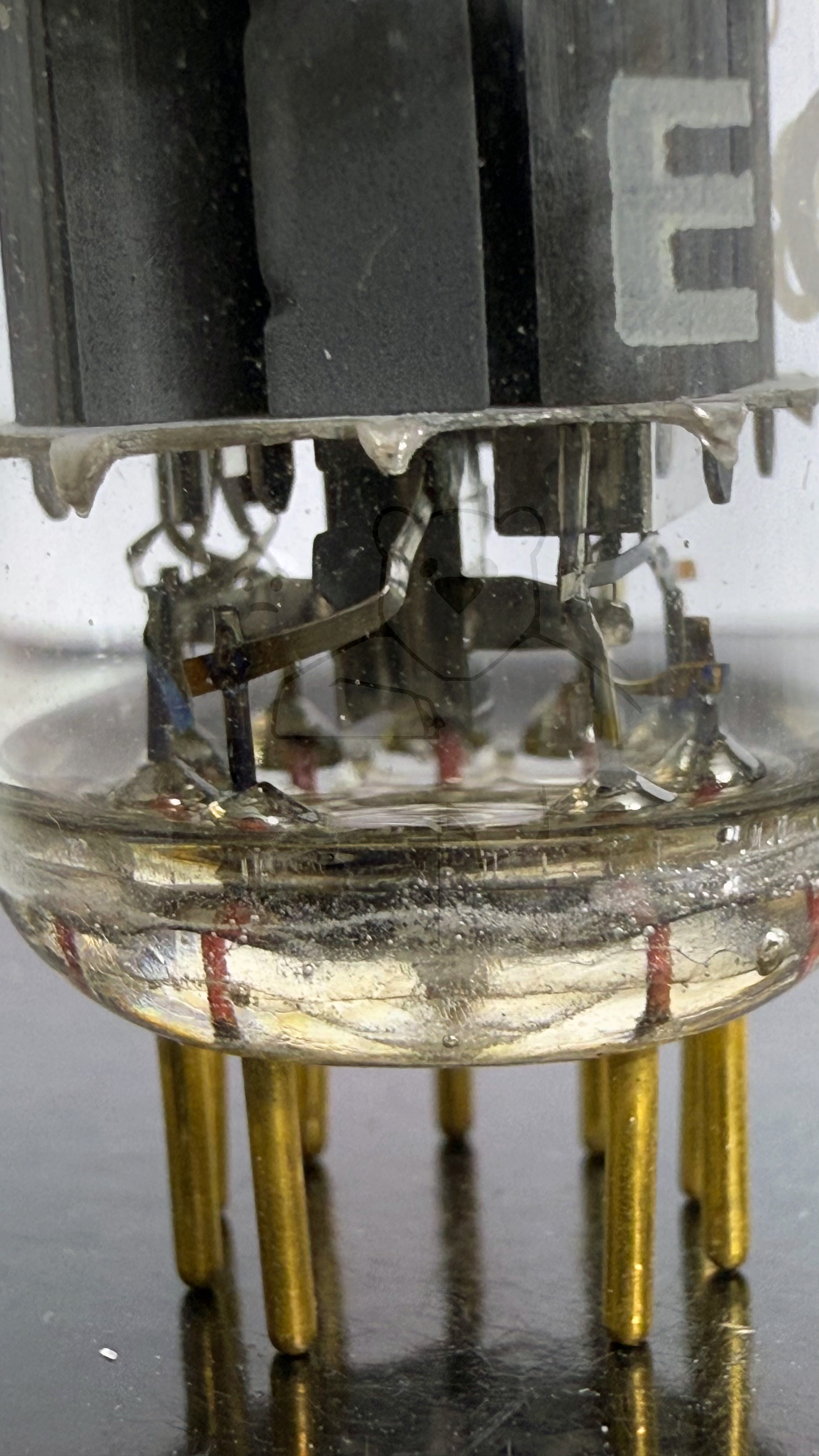 Röhre ECC8100 #7510 Bild 9