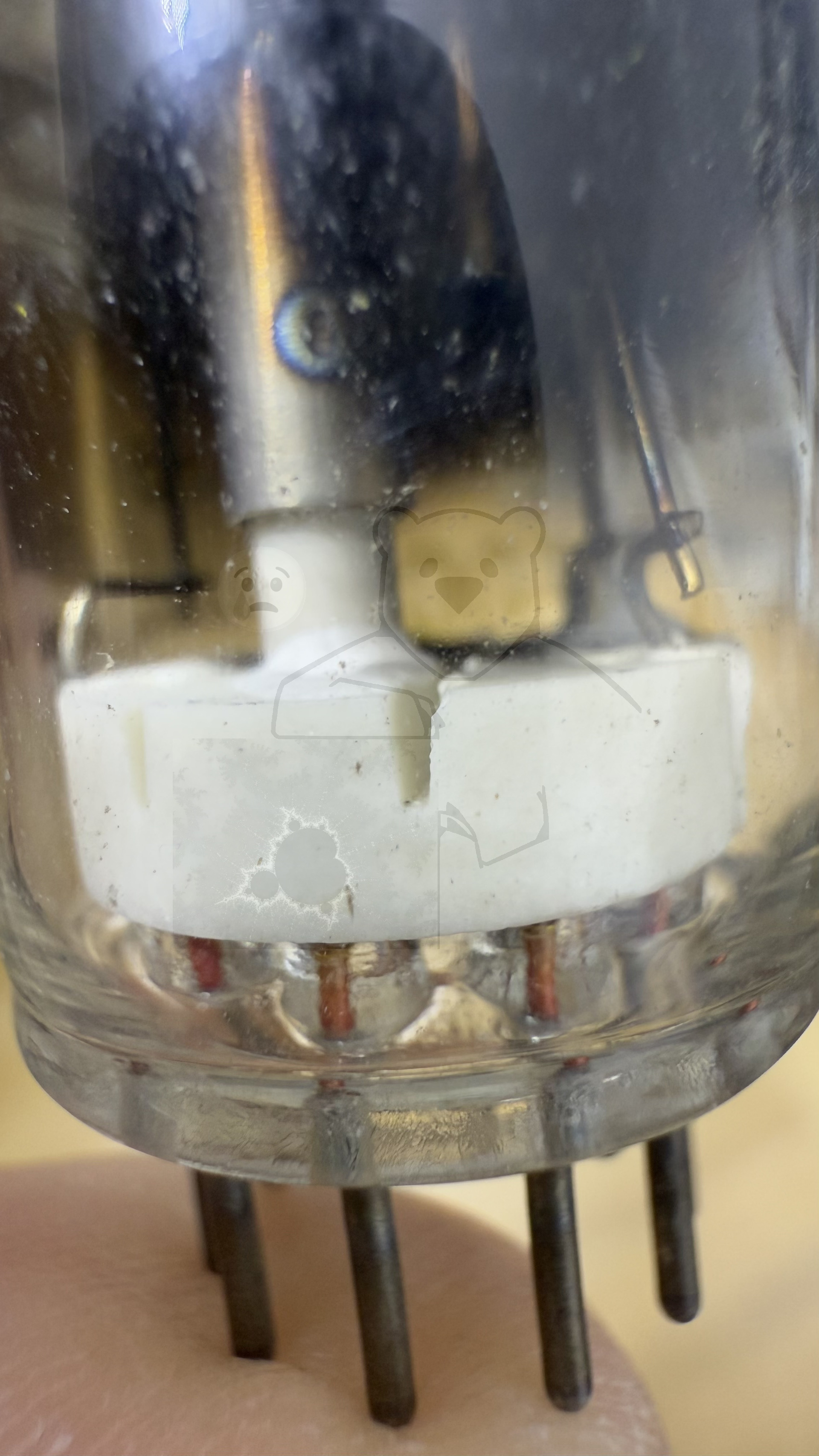 Röhre ER21A #4395 Bild 3