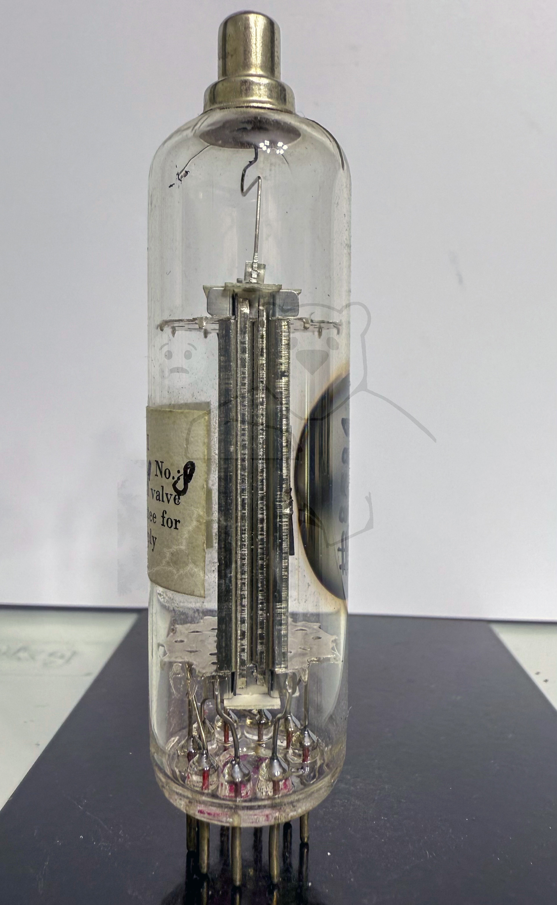 Röhre EY88 #3521 Experimentel Valve Bild 7