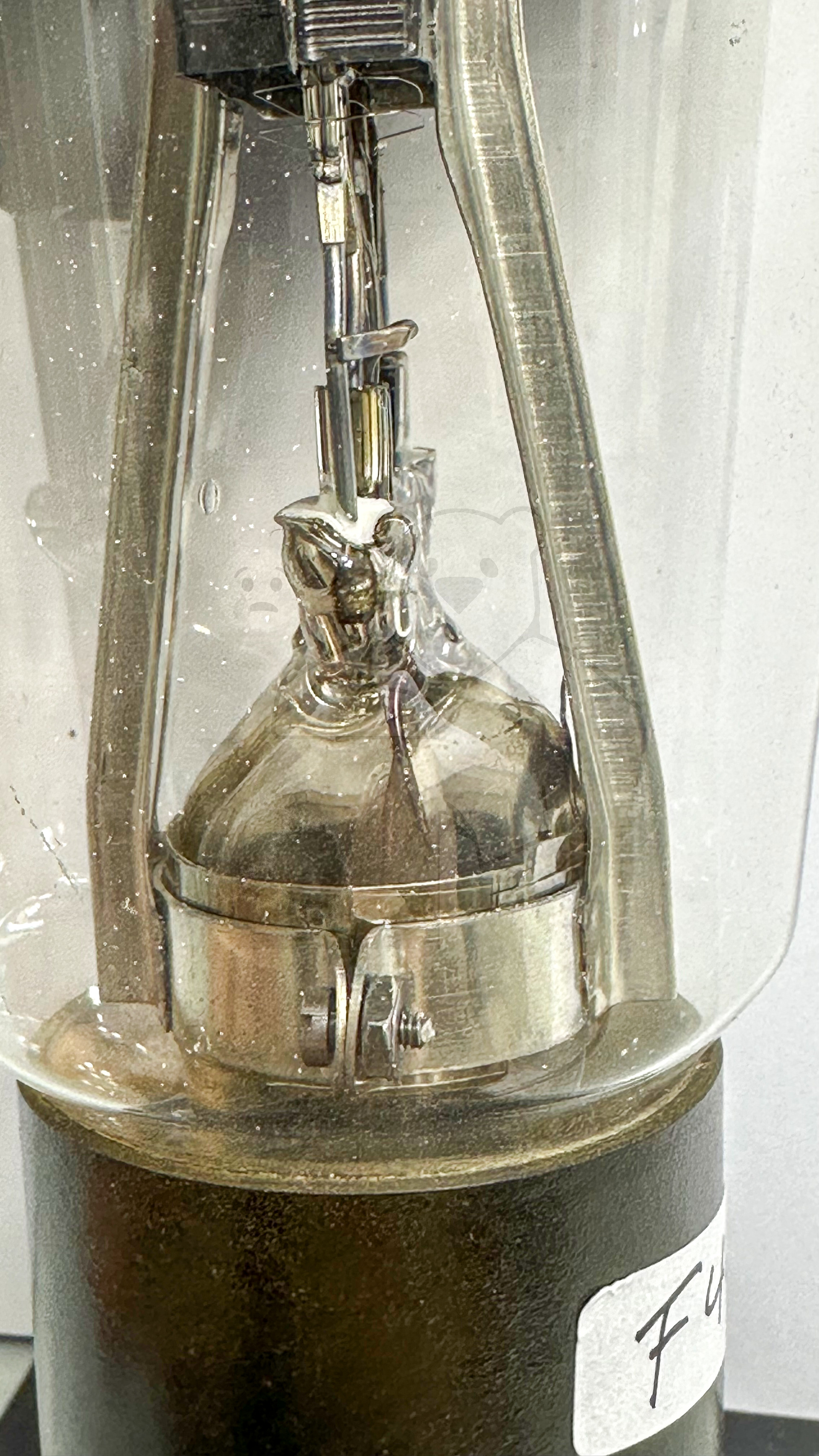 Röhre F443N #6650 Bild 5