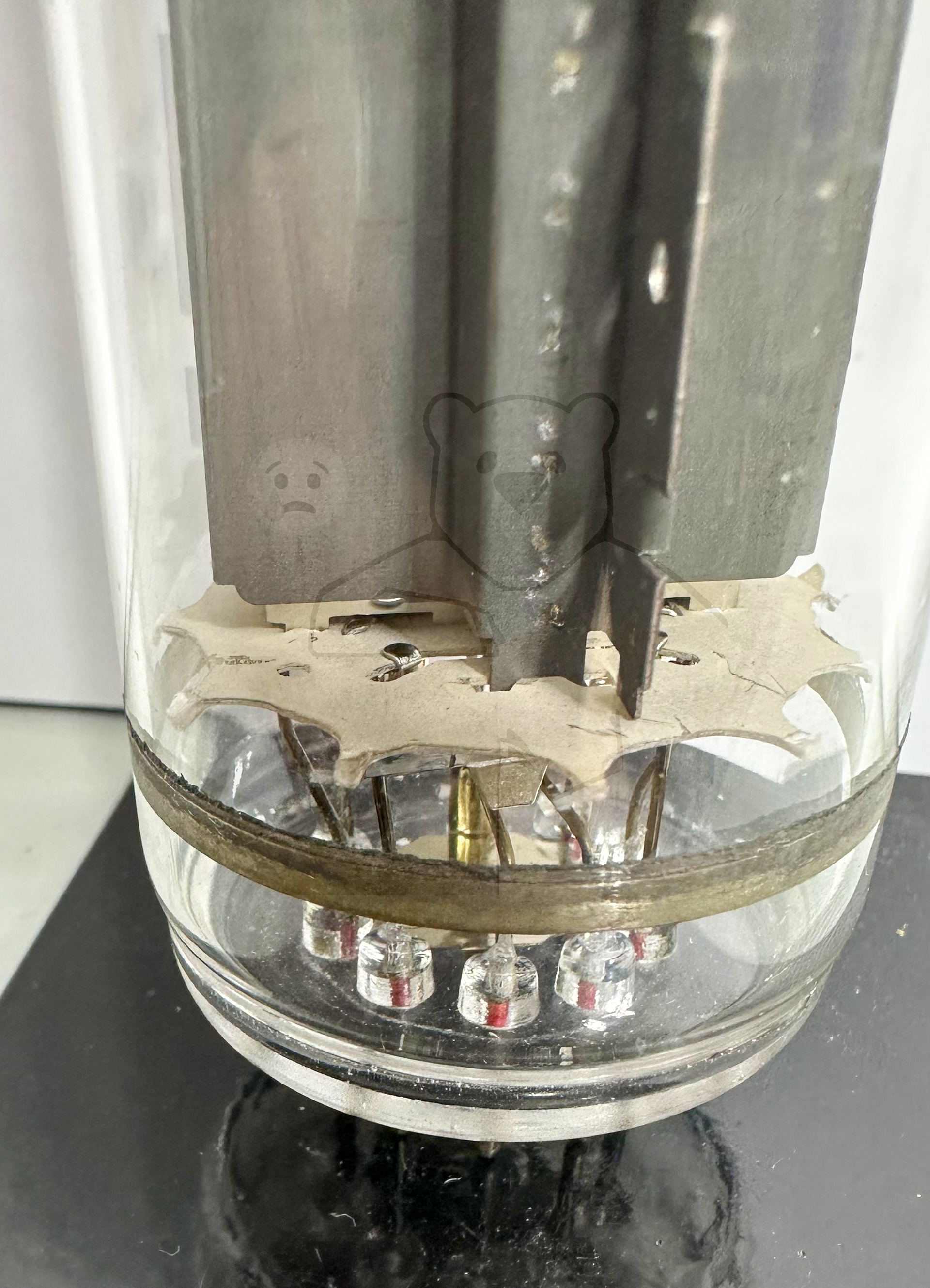 Röhre PL519 #7343 Bild 10