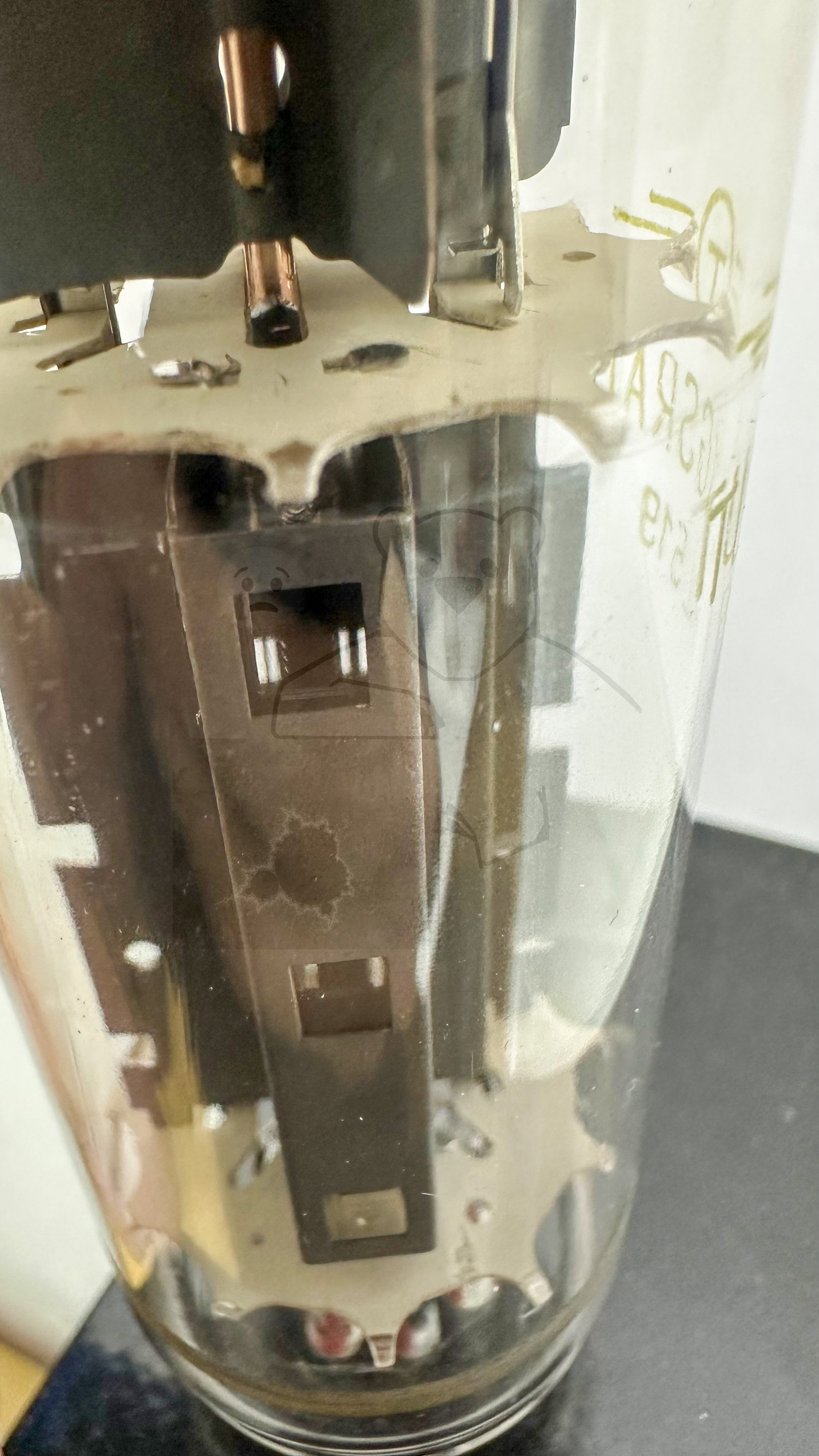 Röhre PL519 #7343 Bild 6