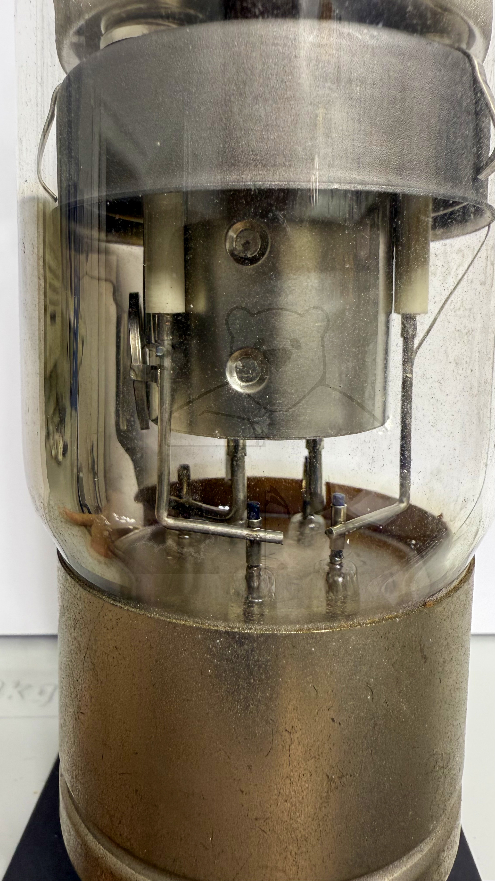 Röhre PL5544 #3220 Bild 5