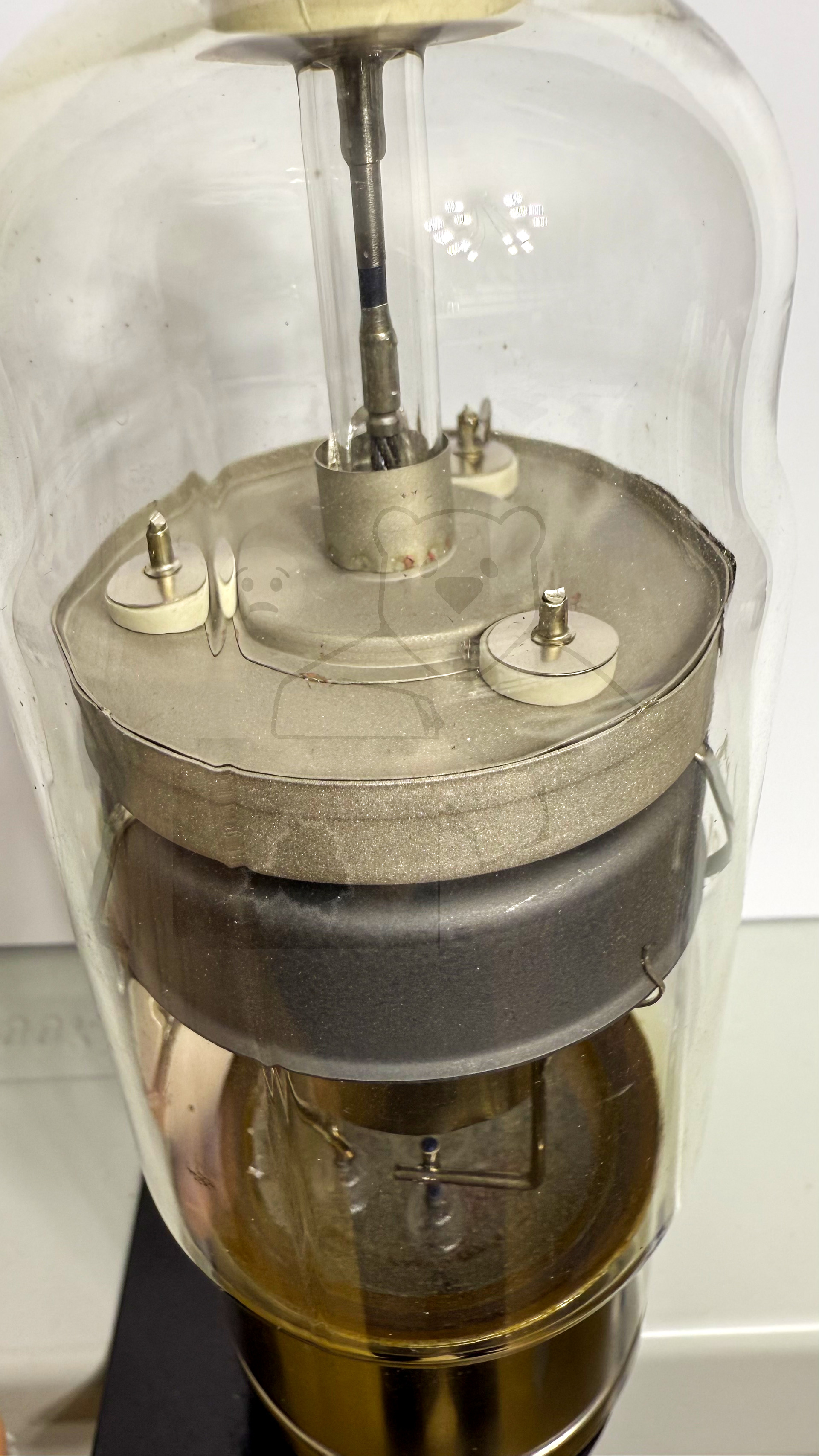 Röhre PL5544 #3224 Bild 9