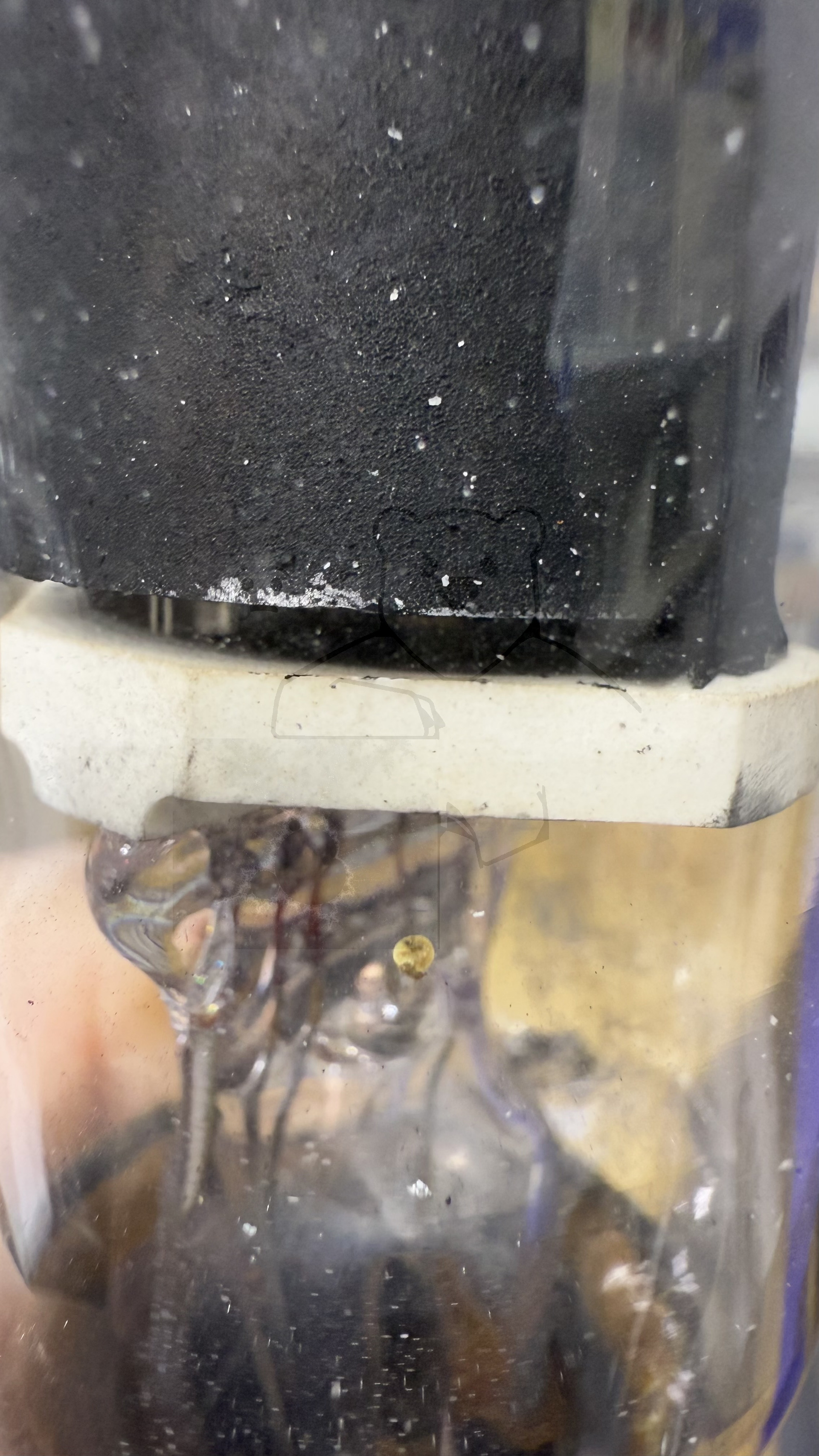 Röhre PL57 #8003 Bild 5