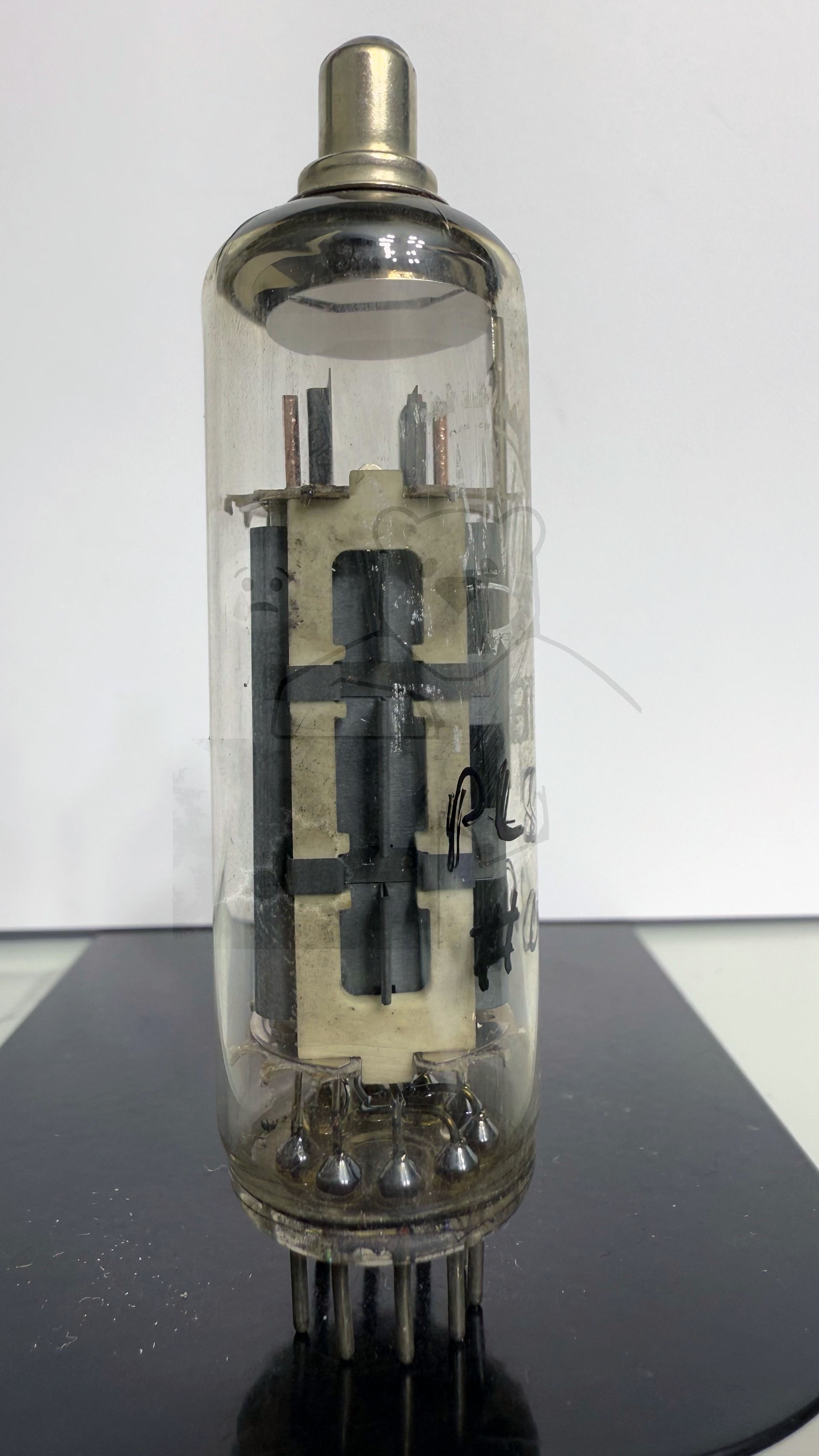 Röhre PL81 #0350 Bild 1