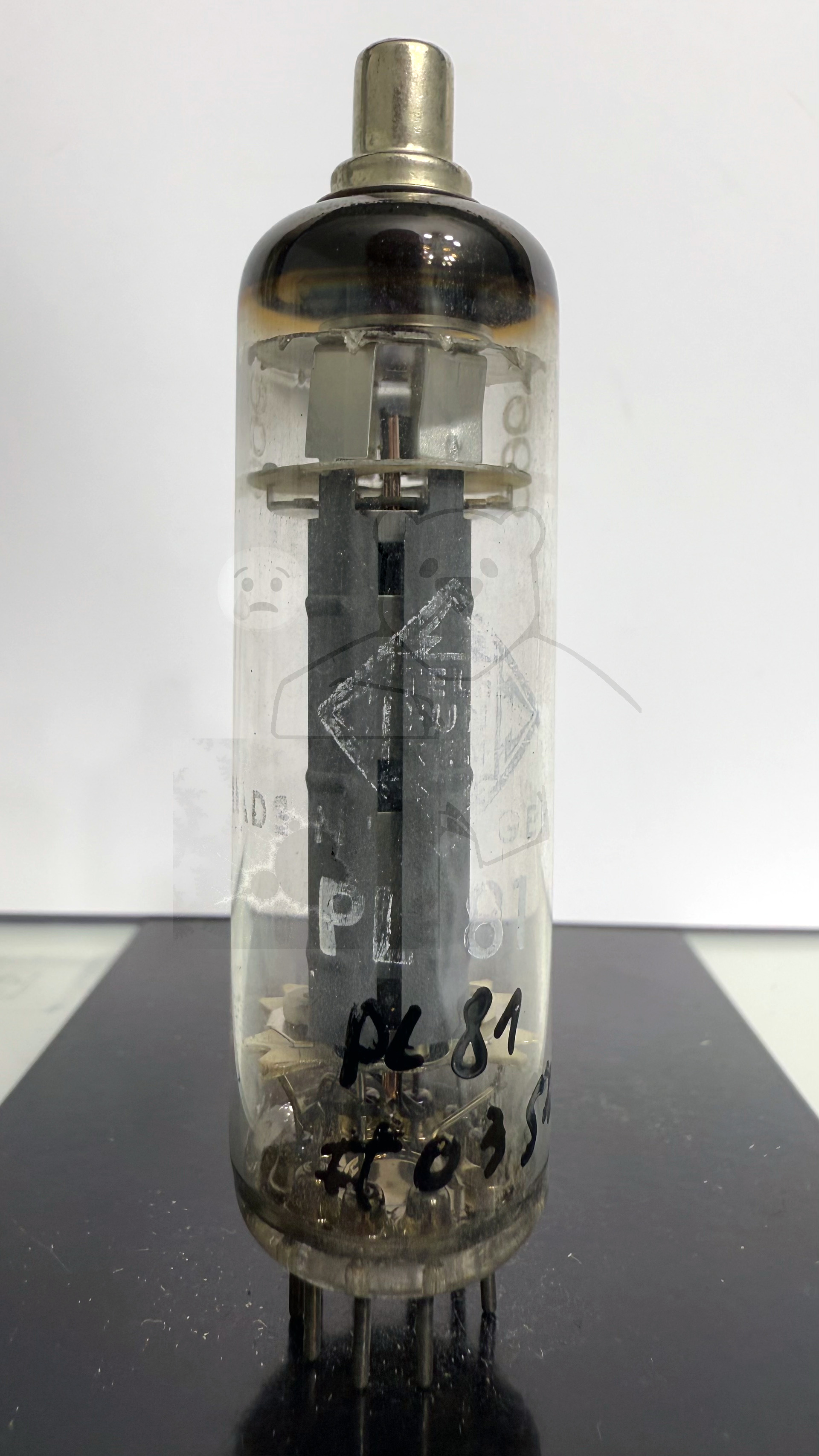 Röhre PL81 #0352 Bild 1