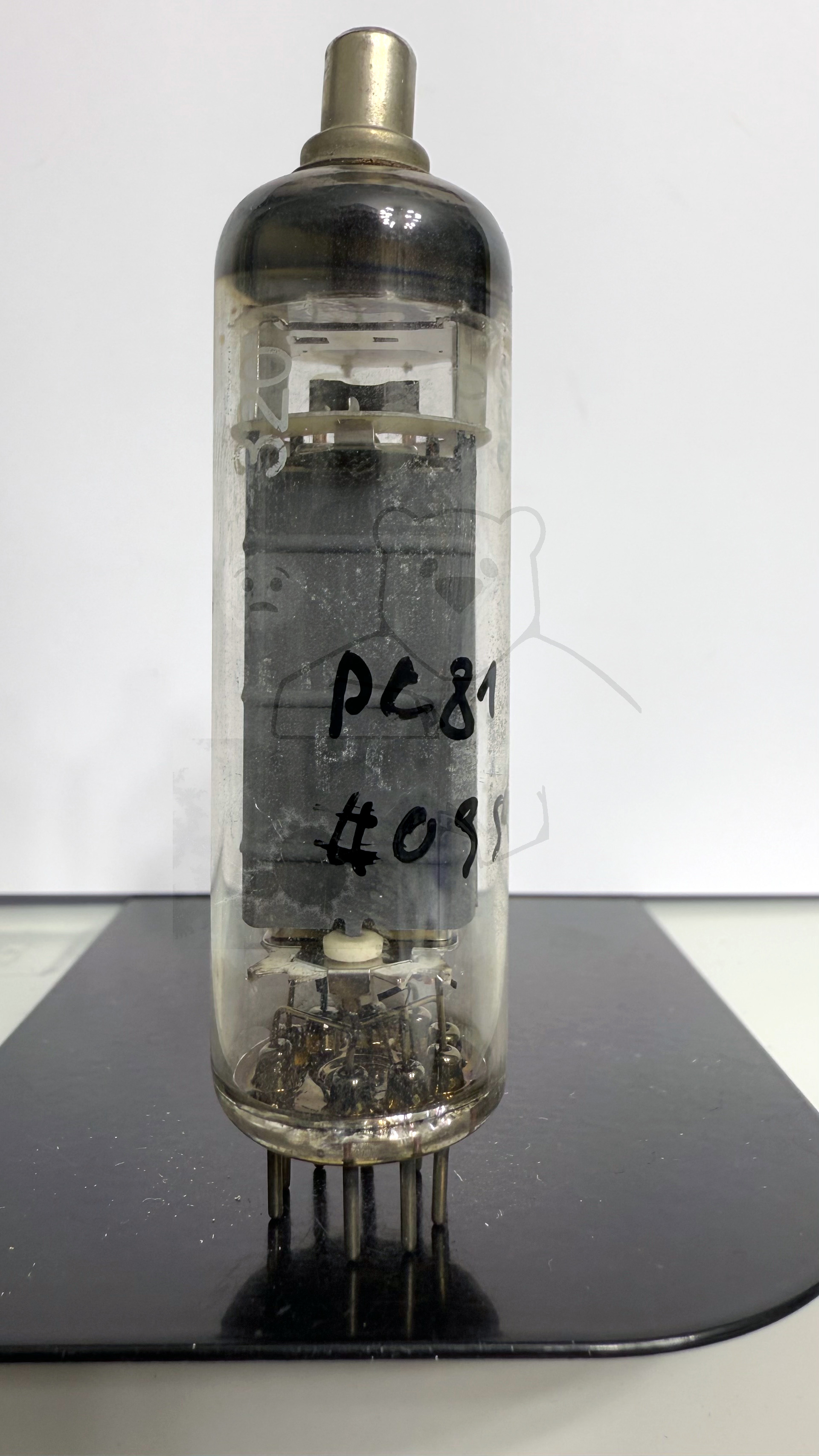 Röhre PL81 #0354 Bild 1