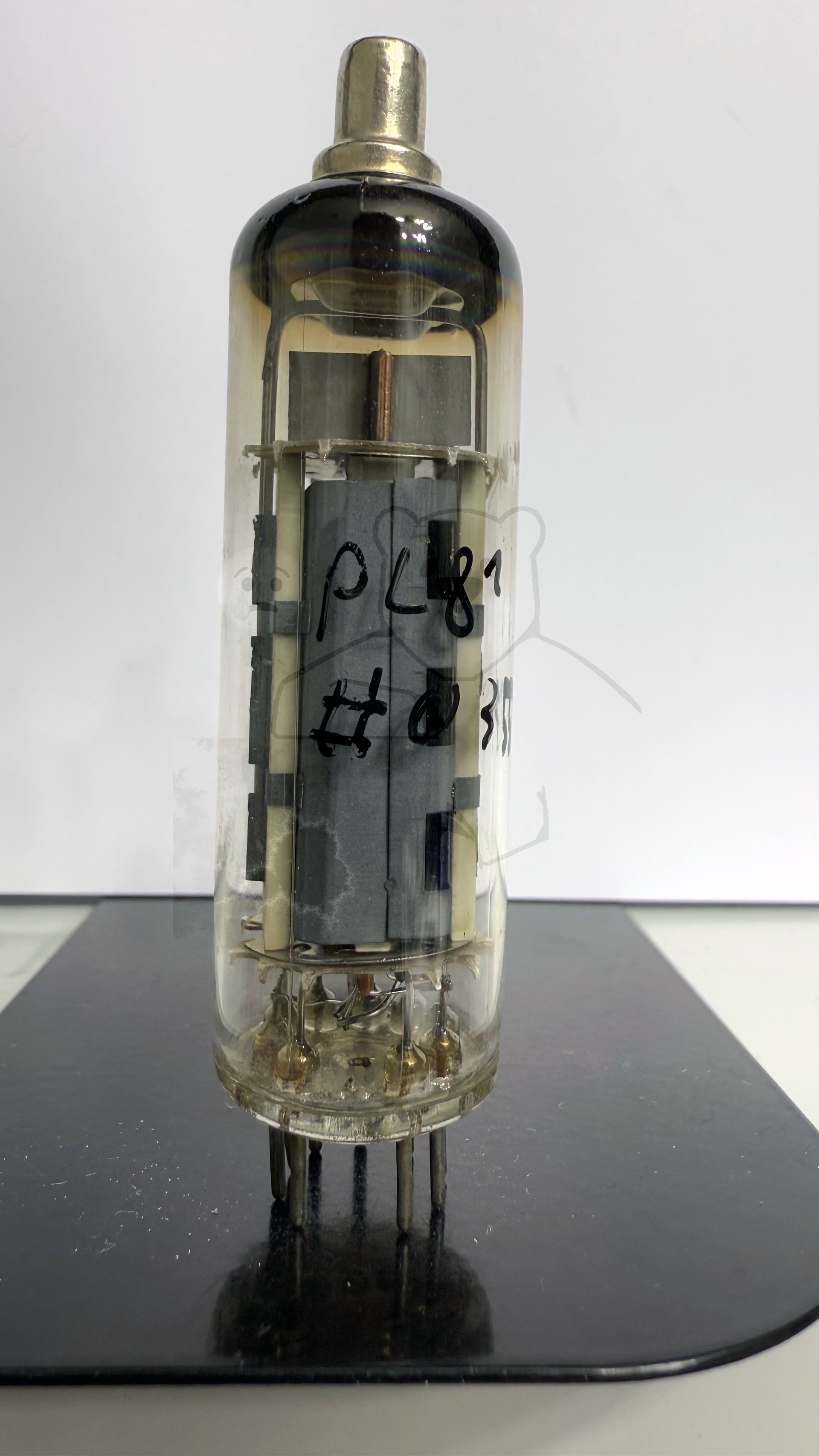 Röhre PL81 #0357 Bild 1