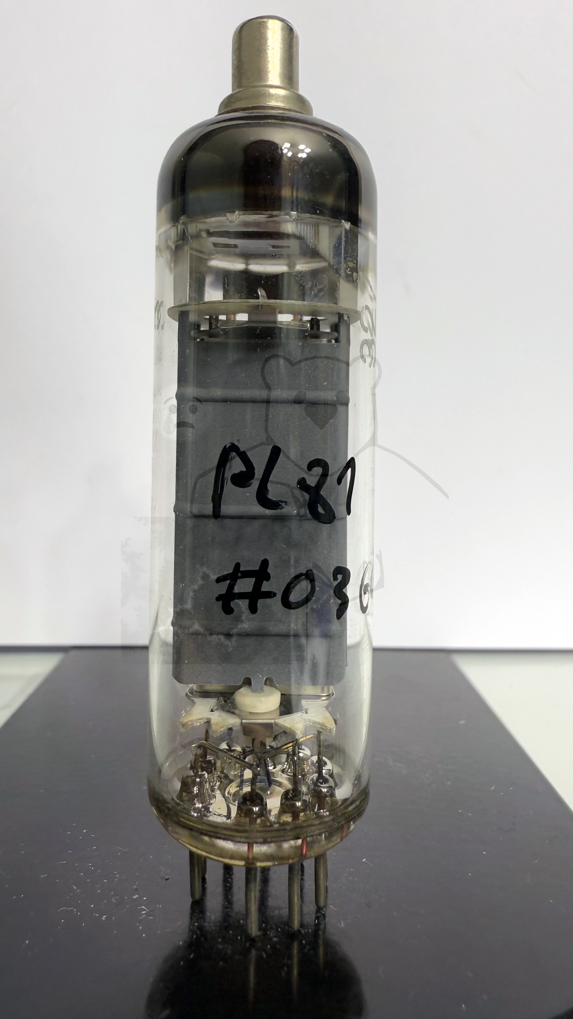 Röhre PL81 #0360 Bild 1