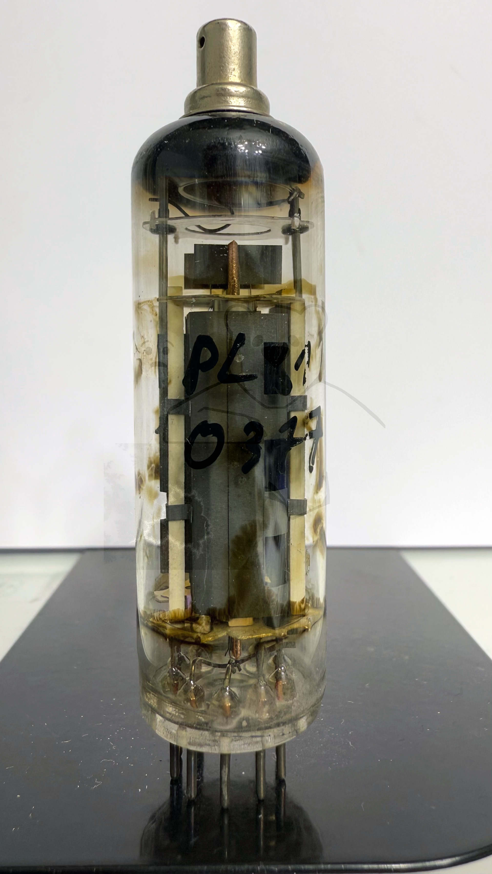 Röhre PL81 #0377 Bild 1