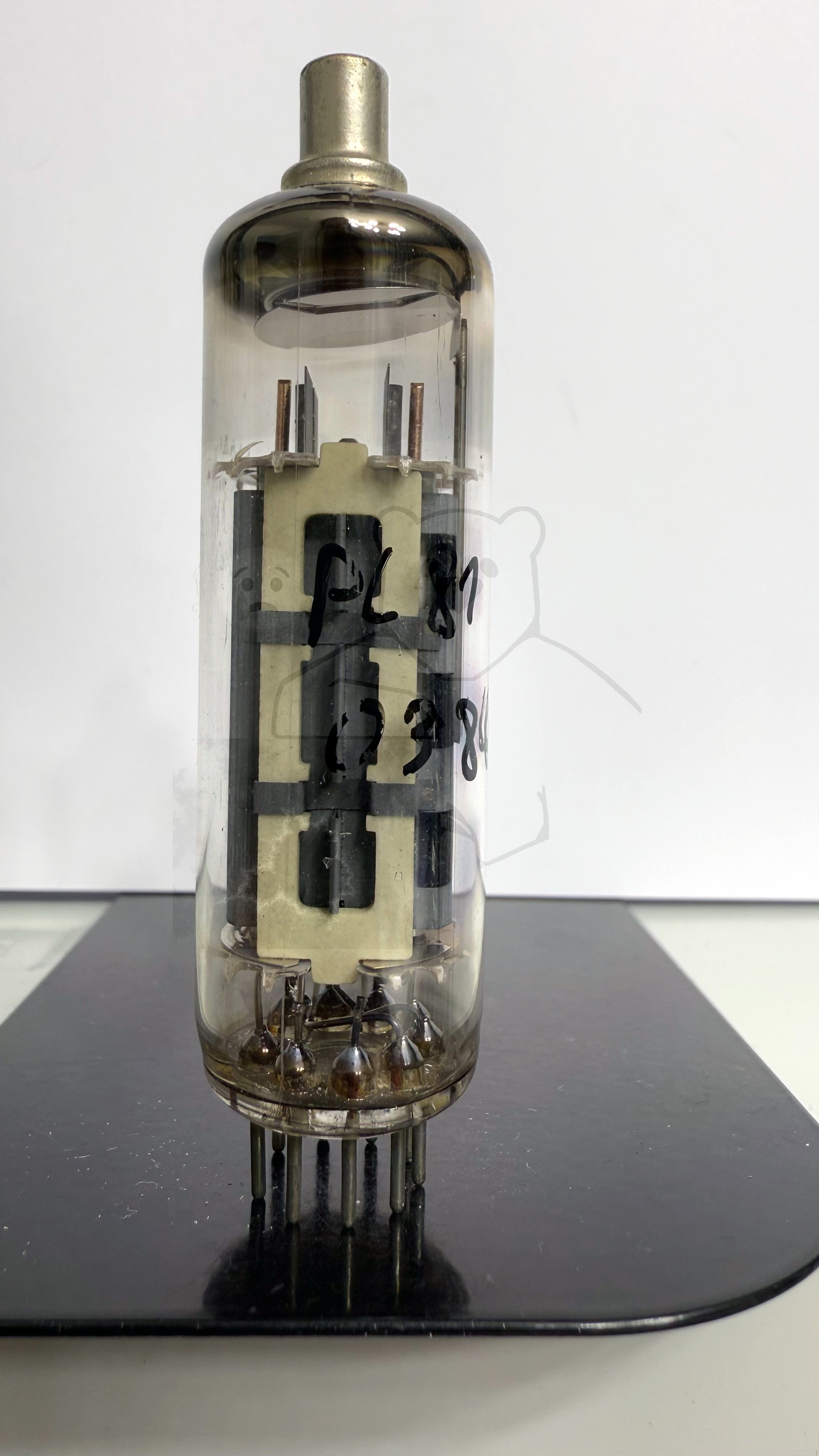 Röhre PL81 #0384 Bild 1