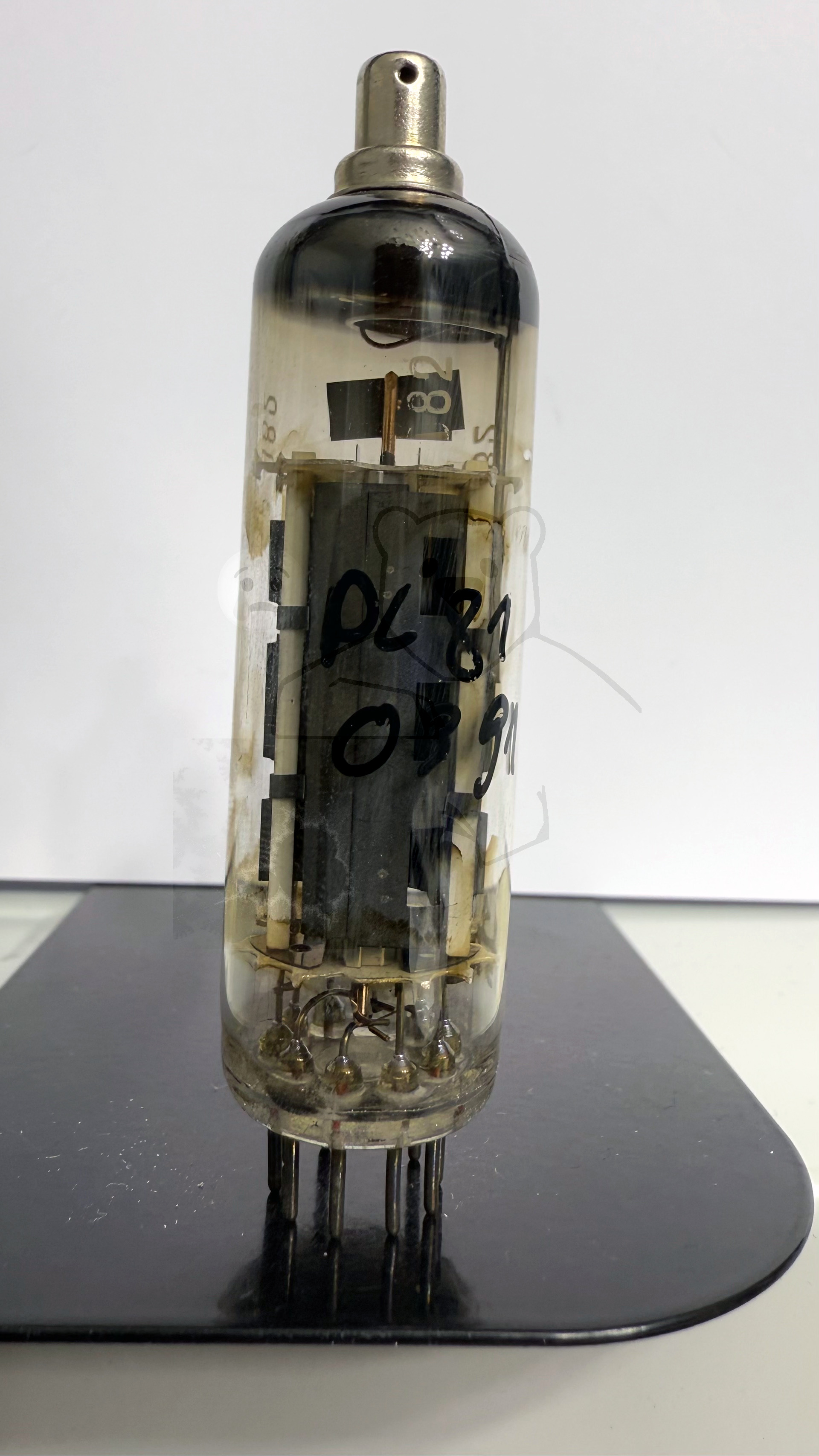 Röhre PL81 #0391 Bild 1