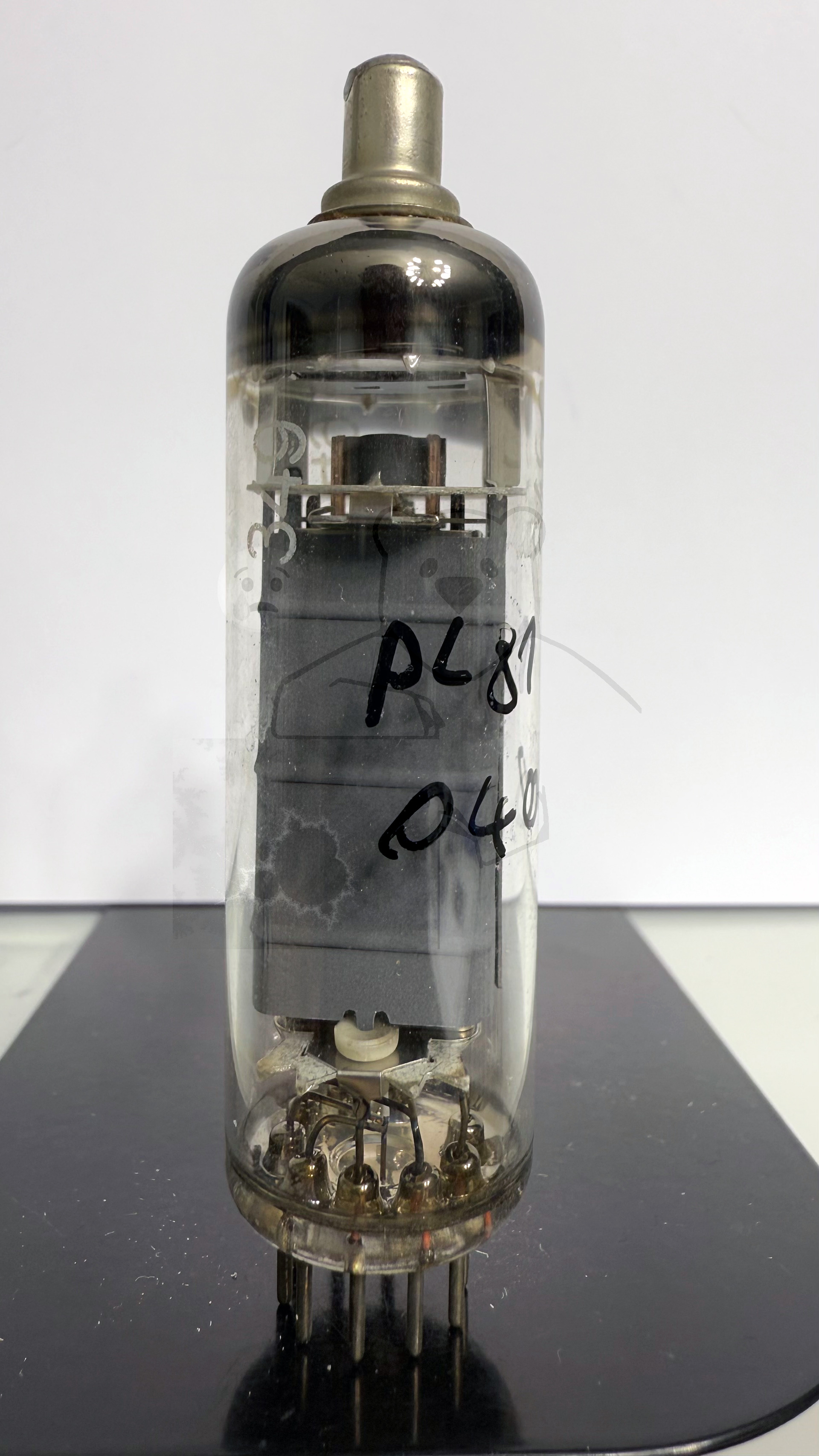 Röhre PL81 #0400 Bild 1