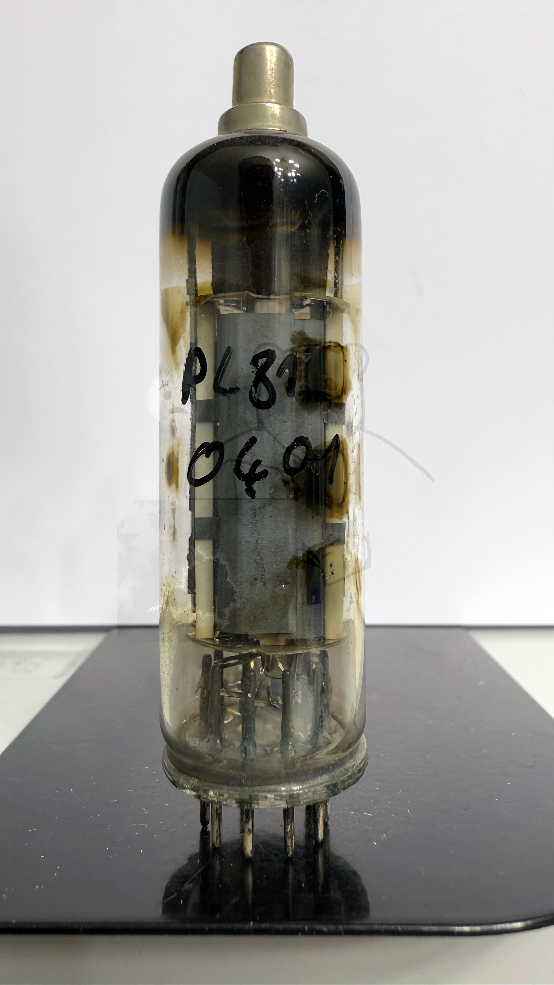 Röhre PL81 #0401 Bild 1