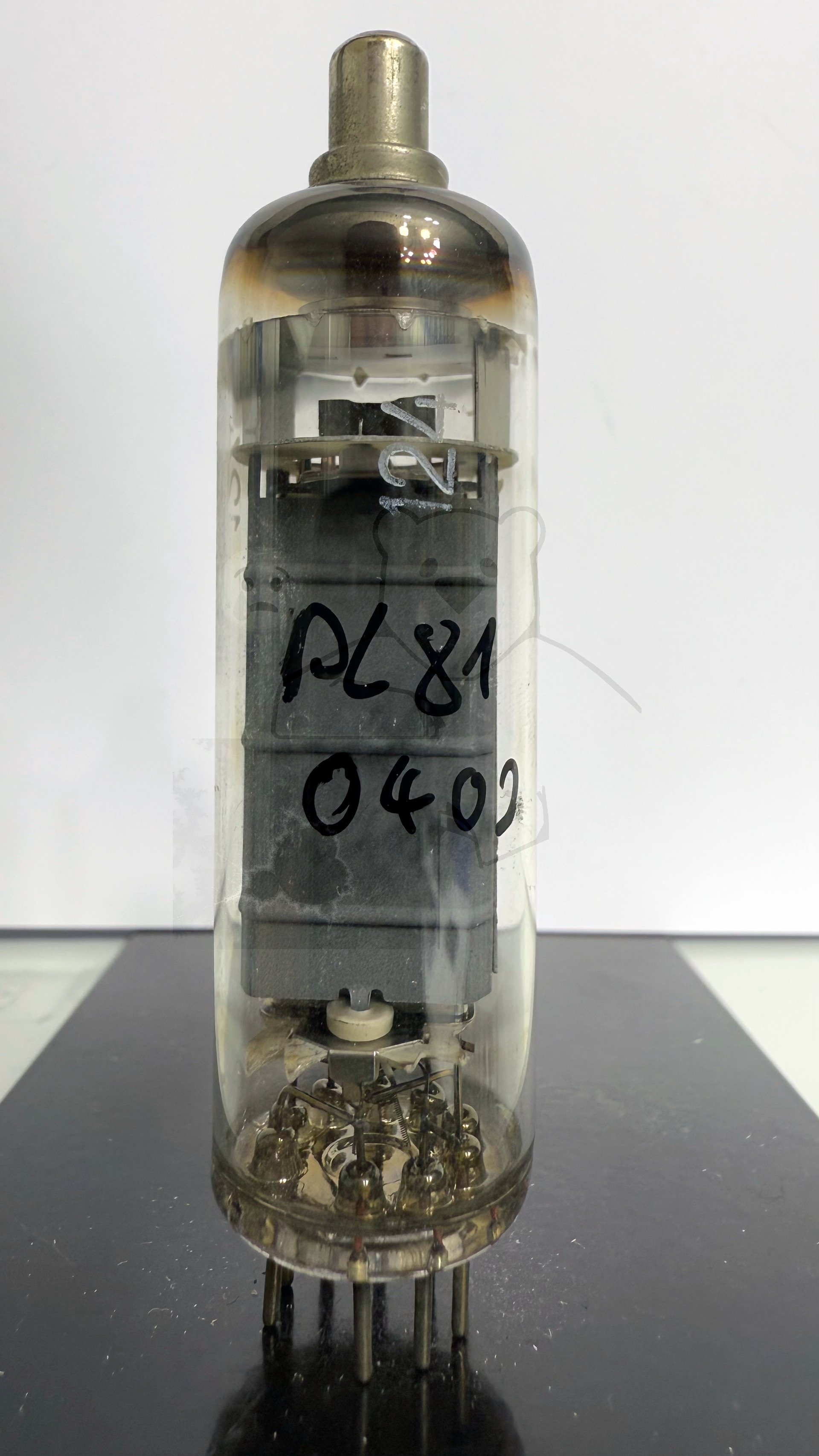 Röhre PL81 #0402 Bild 1