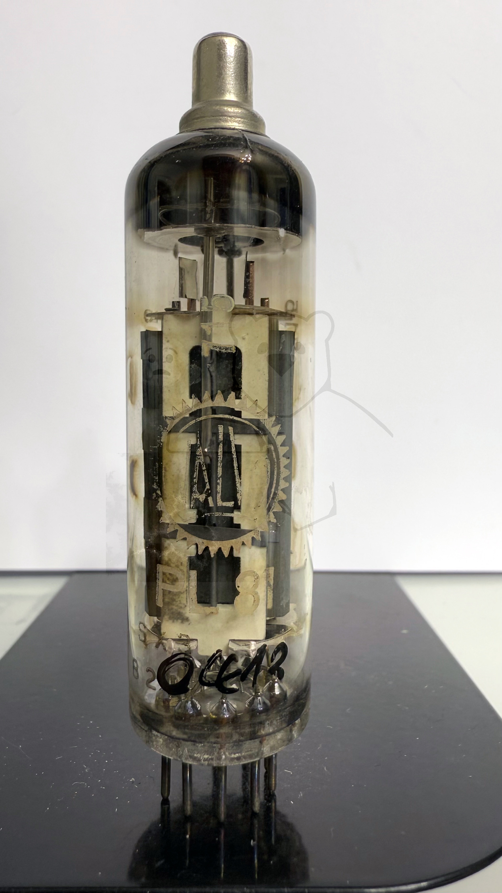 Röhre PL81 #0413 Bild 1